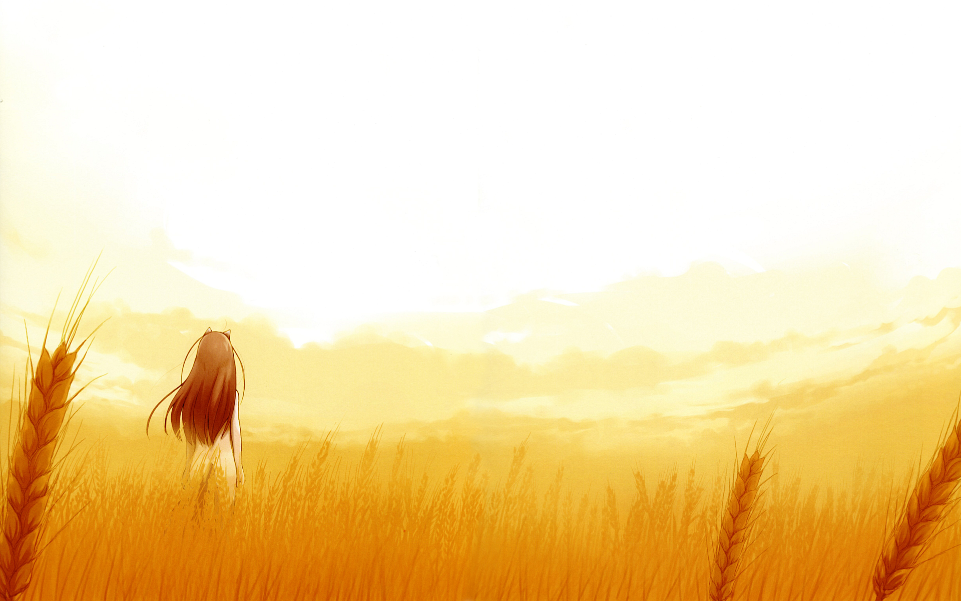 Holo from Spice and Wolf in a wheat field HD Wallpaper