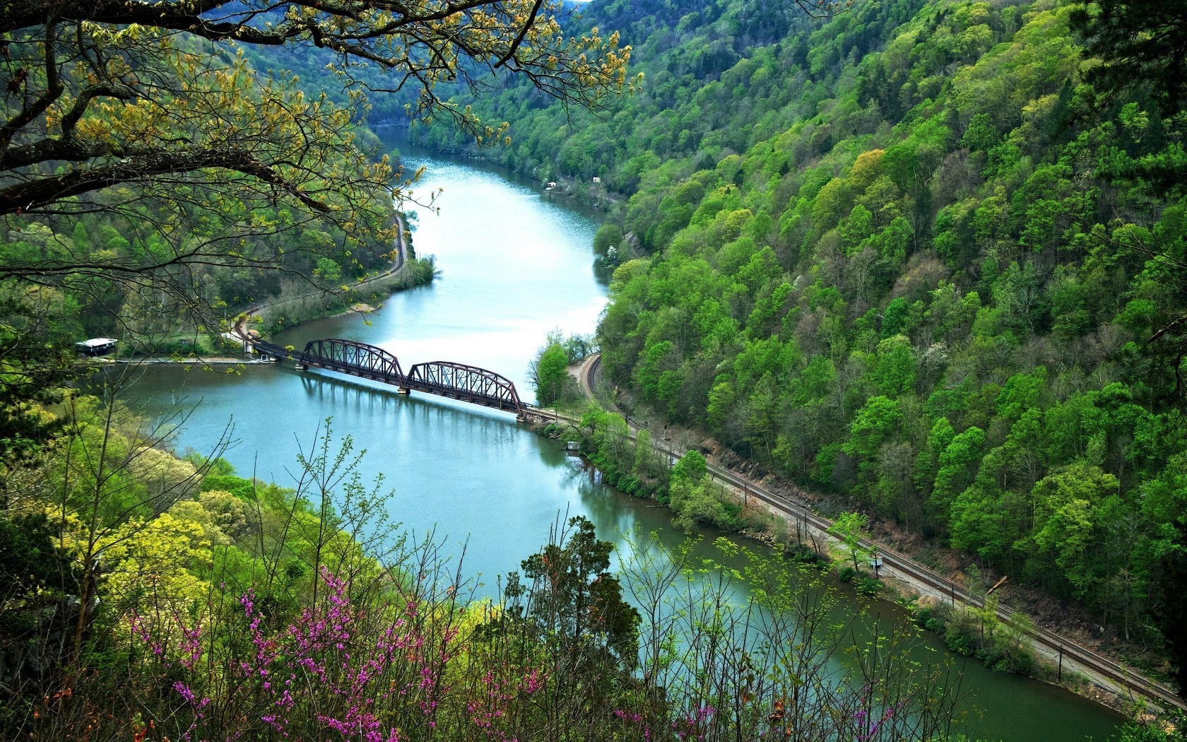 River and railroad bridge through a green forest HD Wallpaper