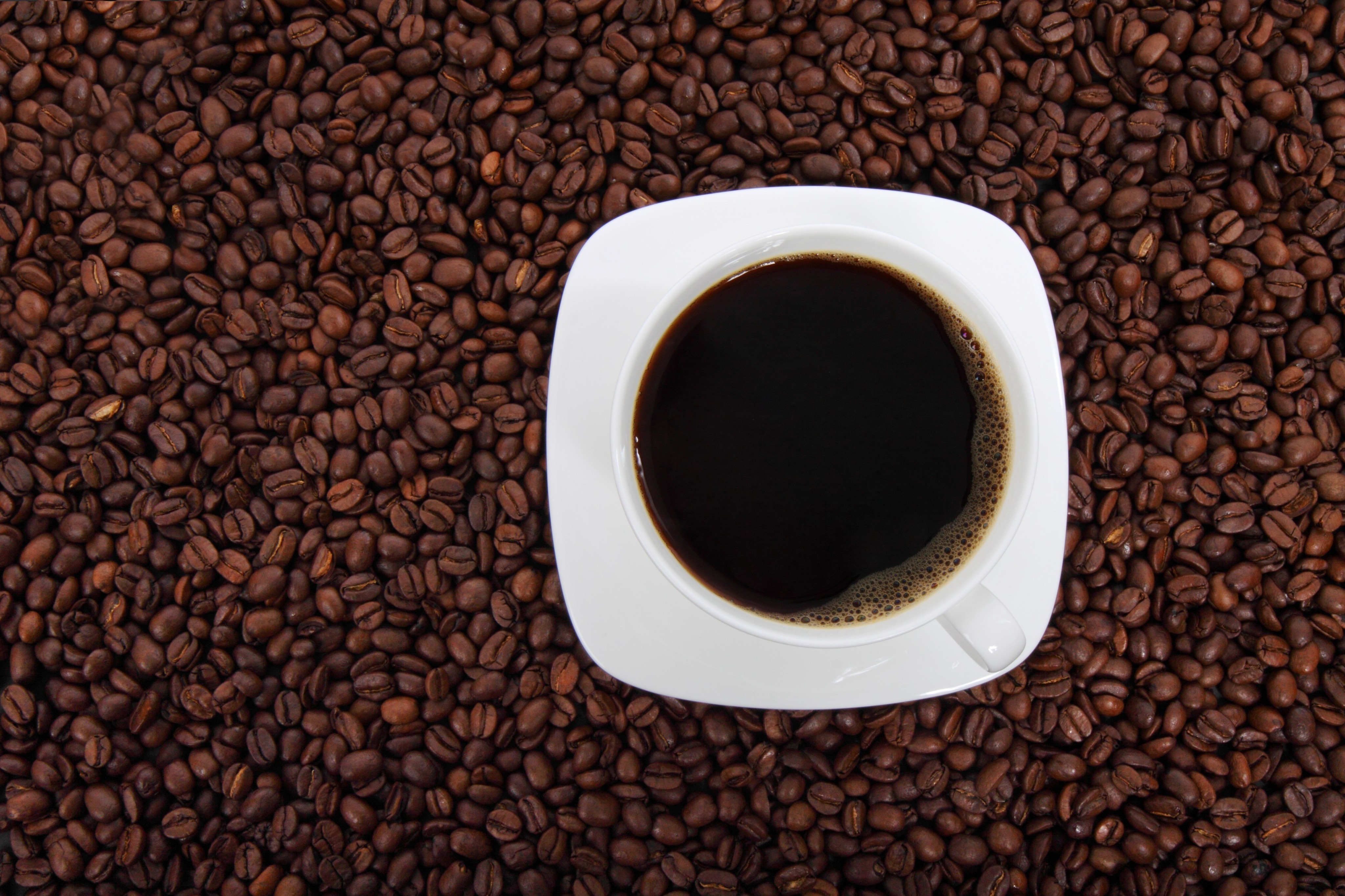 Cup of coffee on coffee beans HD Wallpaper
