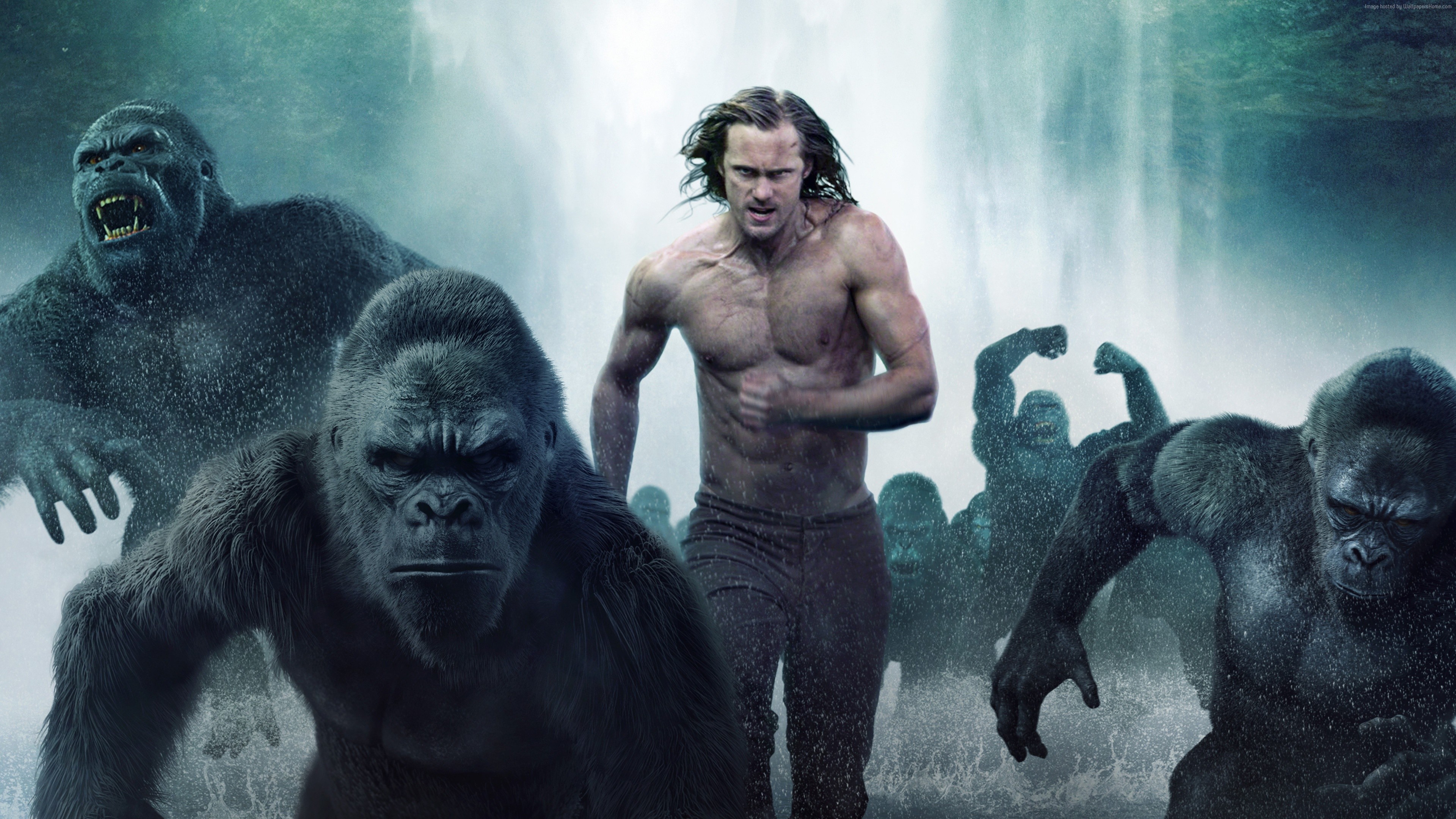 The Legend of Tarzan with Alexander Skarsgård HD Wallpaper