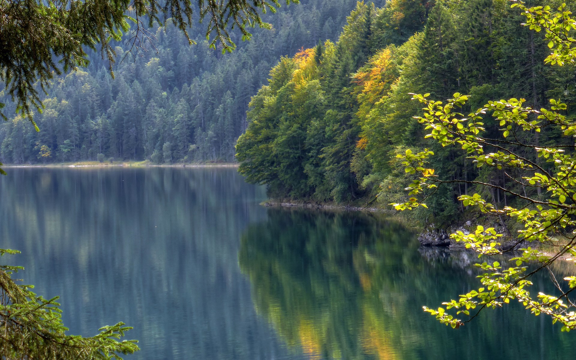 Forest lake with reflections and foreground branches HD Wallpaper