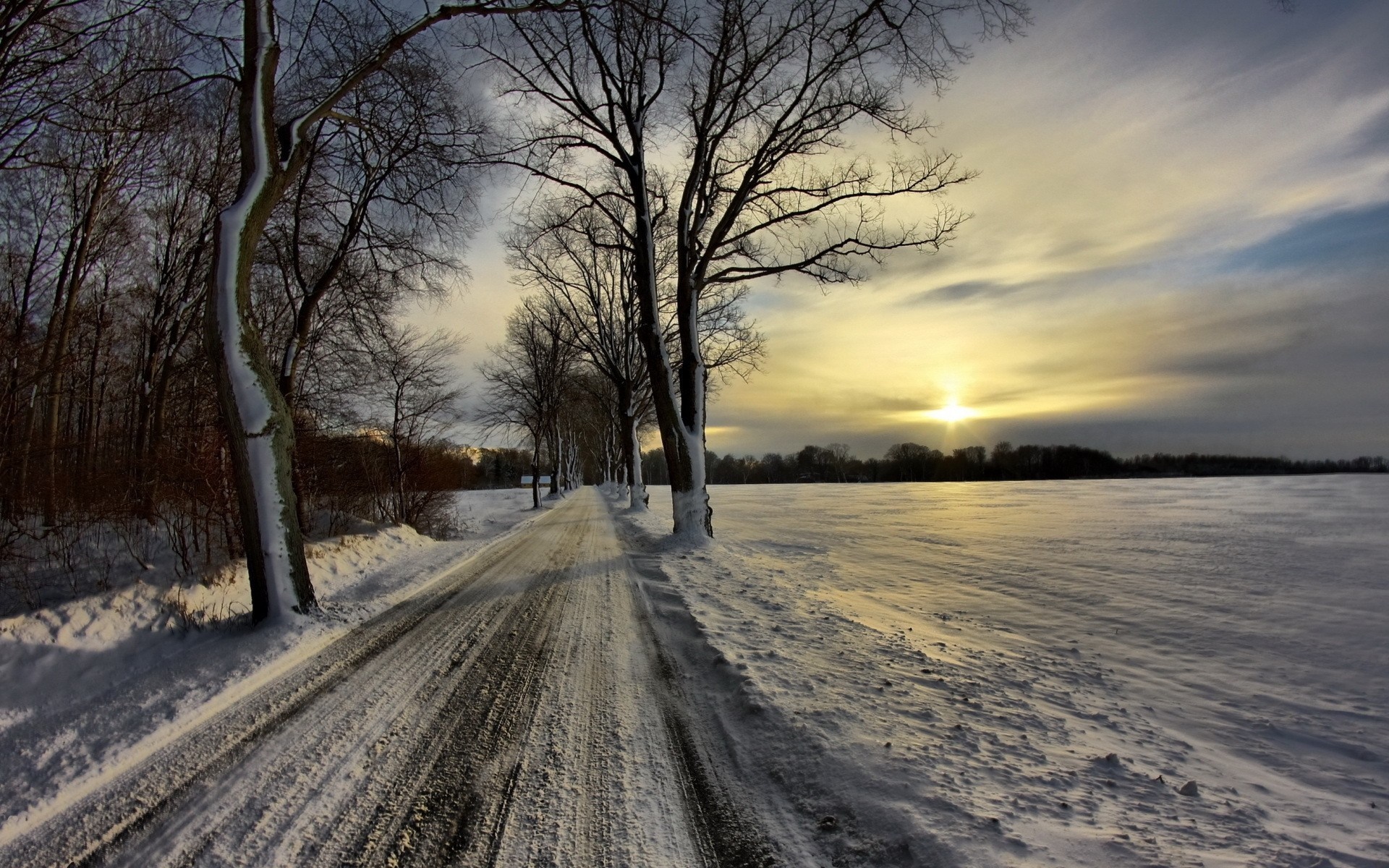 Snowy road lined with trees at sunset HD Wallpaper
