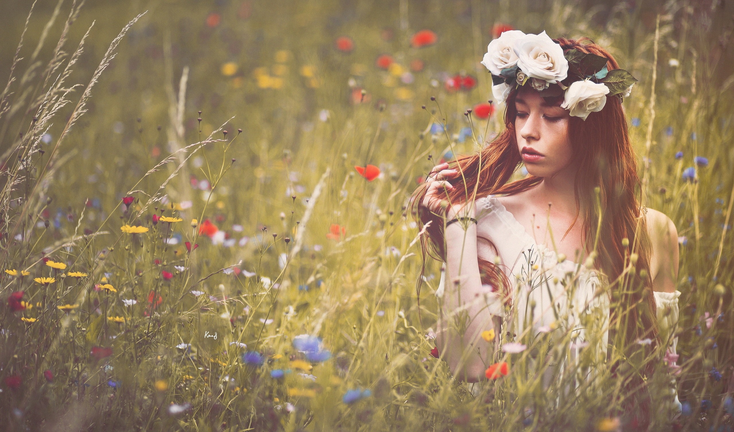 Woman with flower crown in a field of wildflowers HD Wallpaper