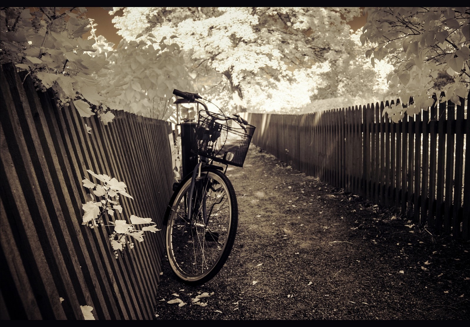 Bicycle leaning against a corrugated fence HD Wallpaper