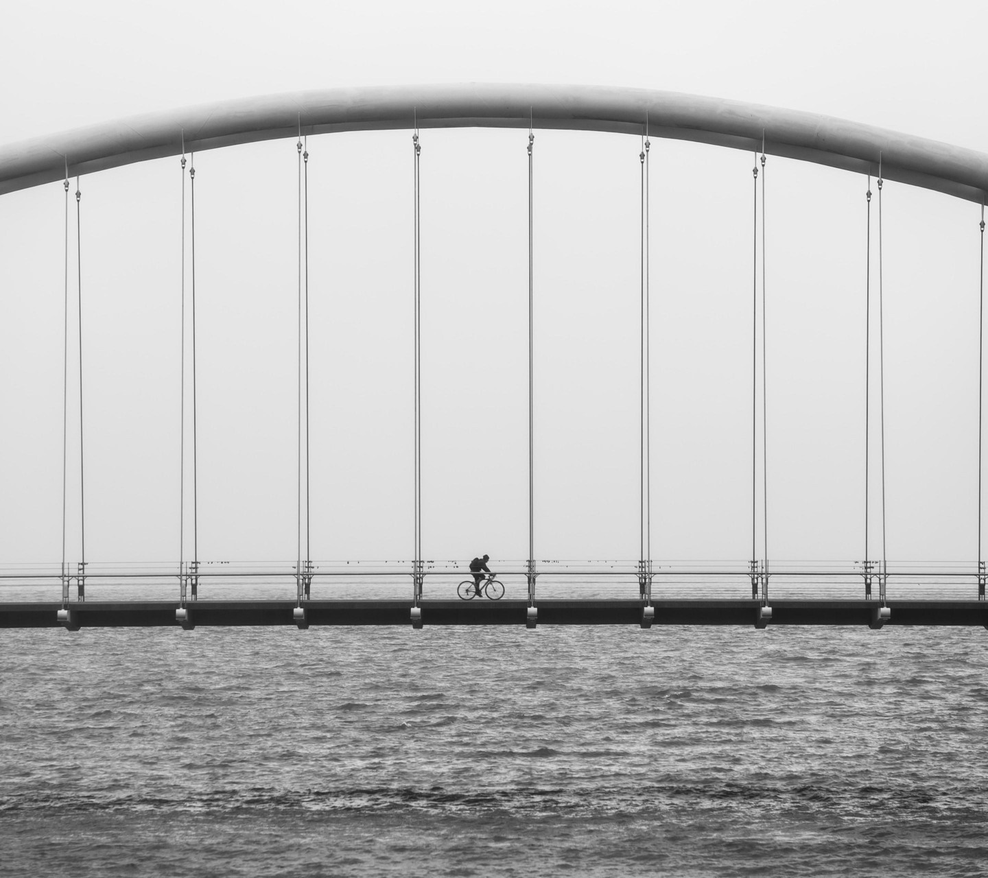 Cyclist on a bridge over water HD Wallpaper