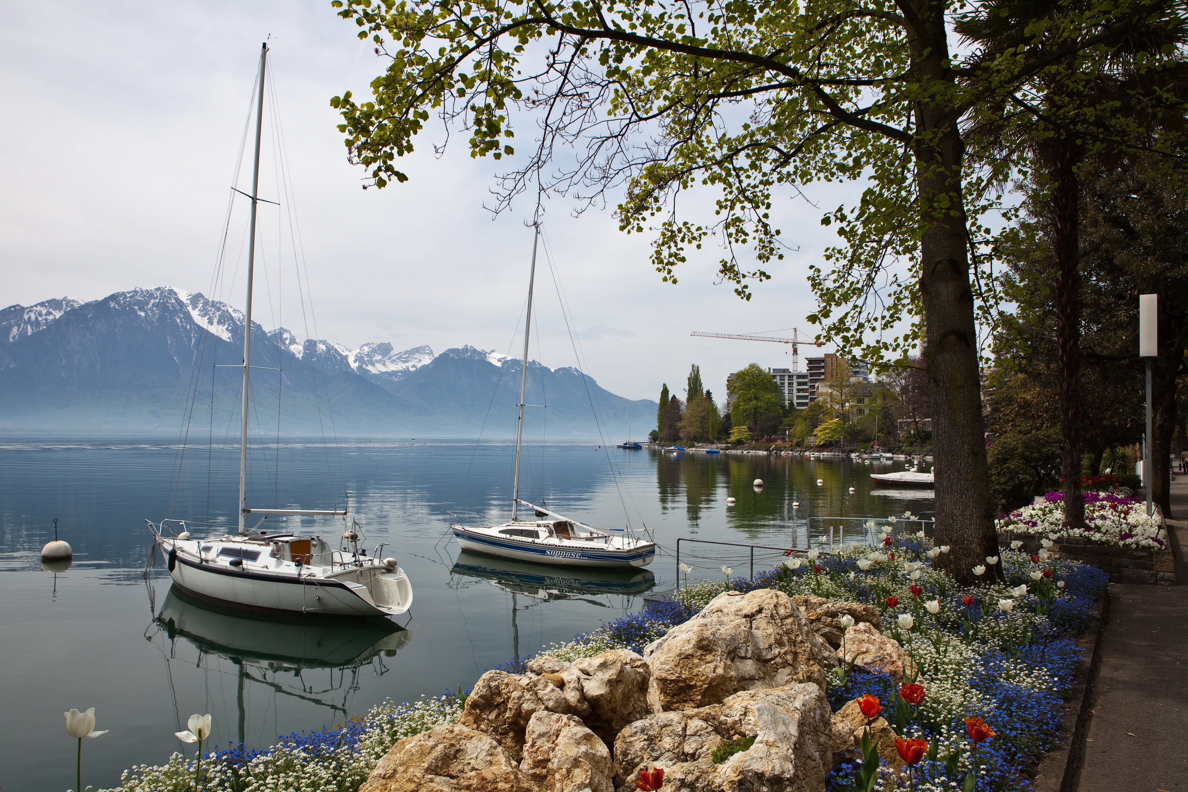 Sailboats on a lake with snow-capped mountains HD Wallpaper