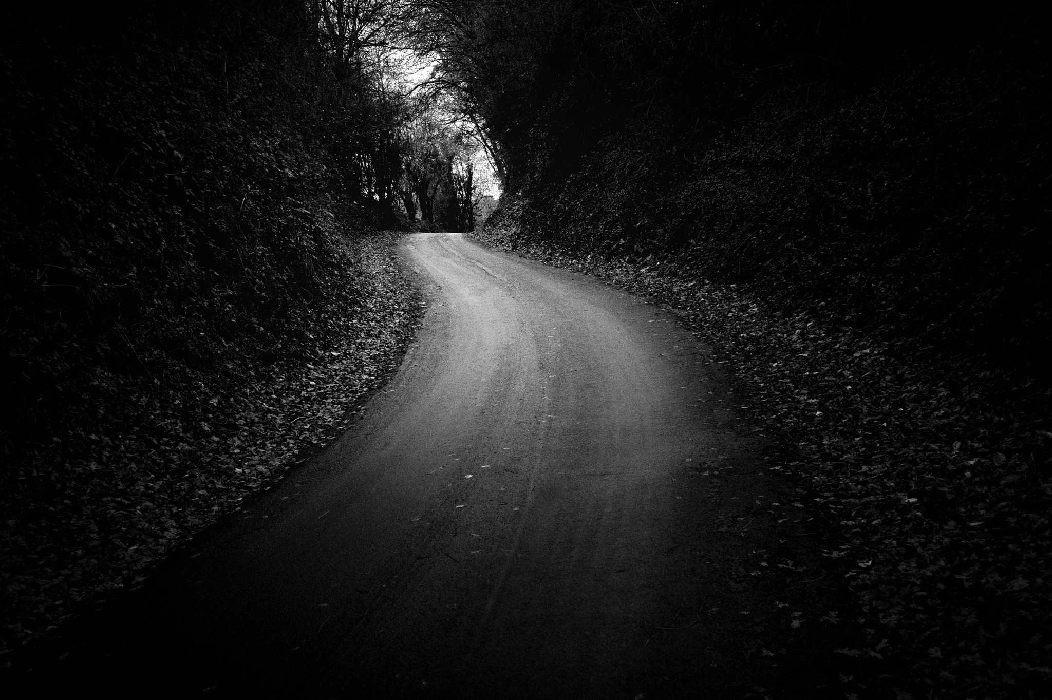 A winding road through a dark, tree-lined path HD Wallpaper