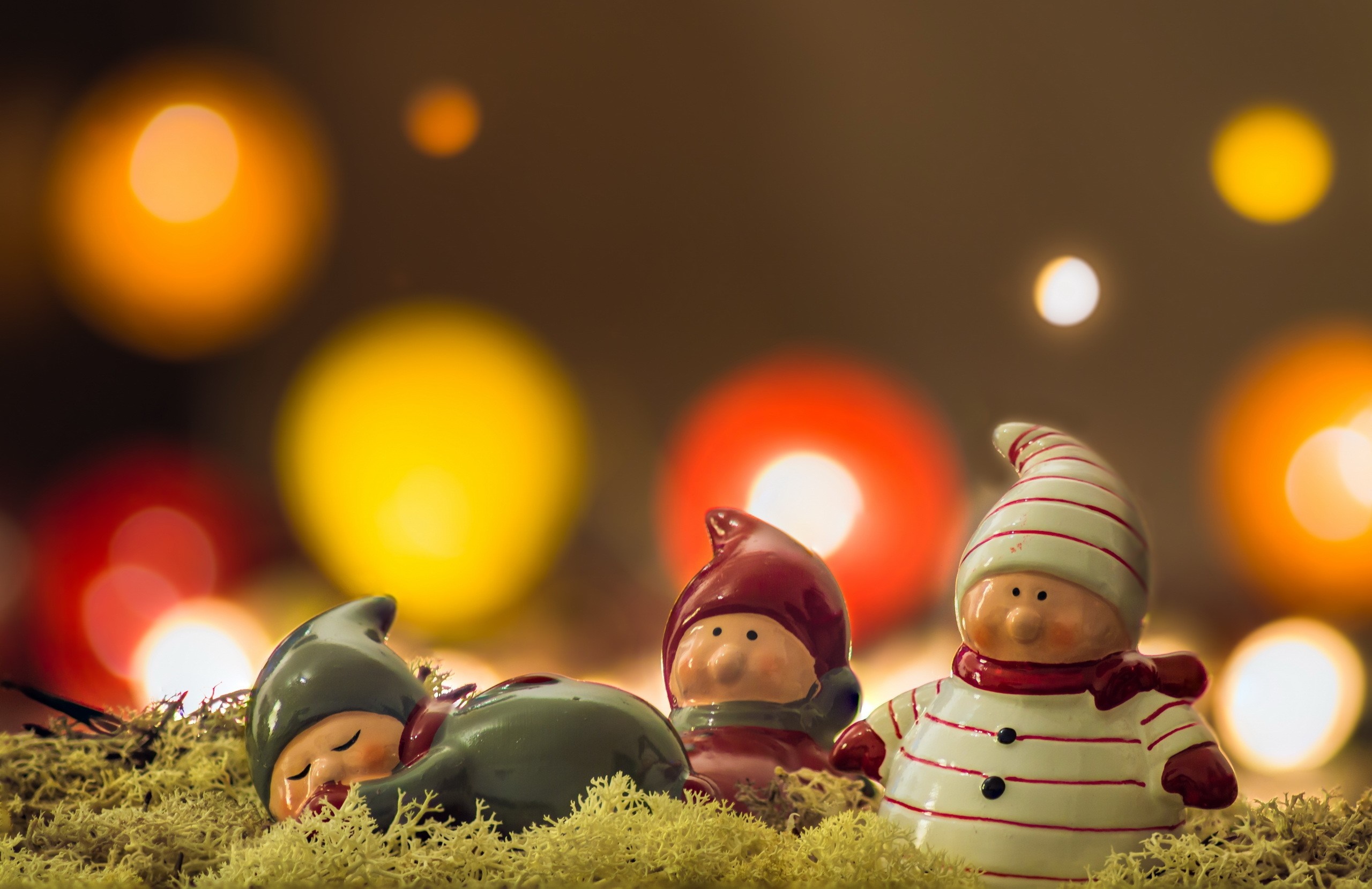 Christmas gnomes on moss with bokeh lights HD Wallpaper