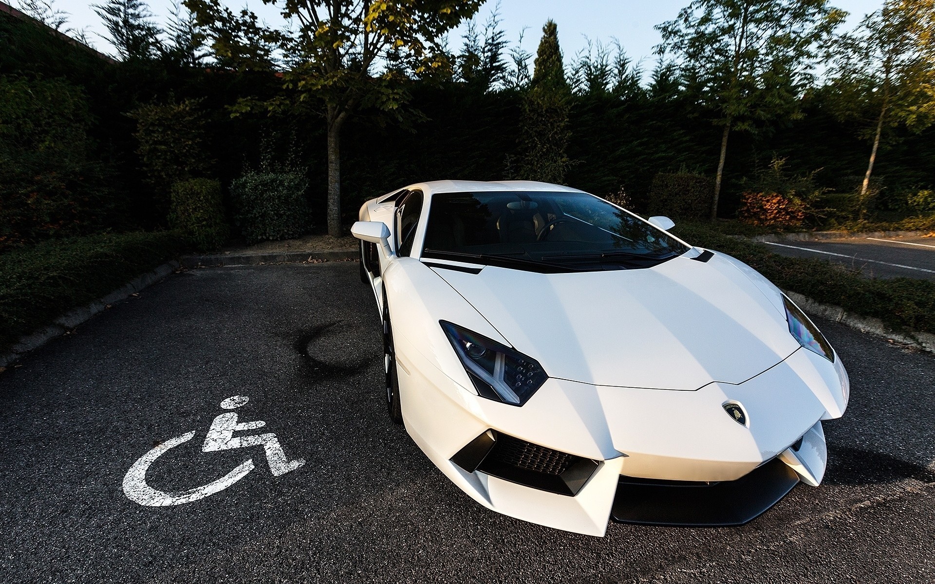 White Lamborghini Aventador parked in a disabled spot HD Wallpaper