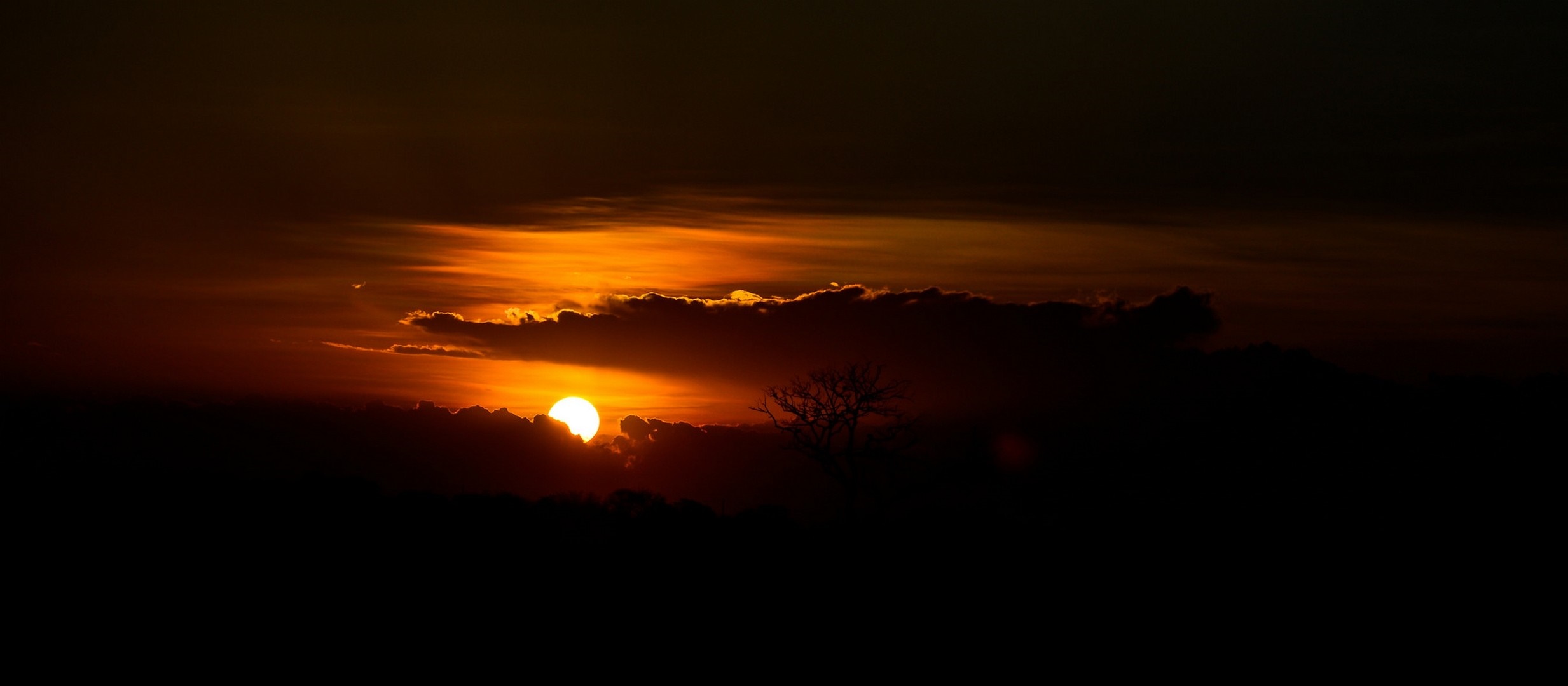 Sunset with clouds and a silhouetted tree HD Wallpaper