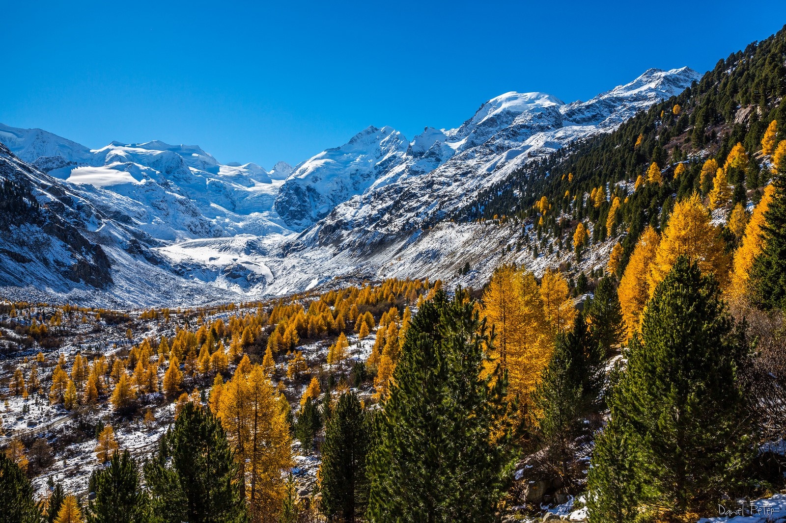 Autumnal Valley with Snow-Capped Alps HD Wallpaper