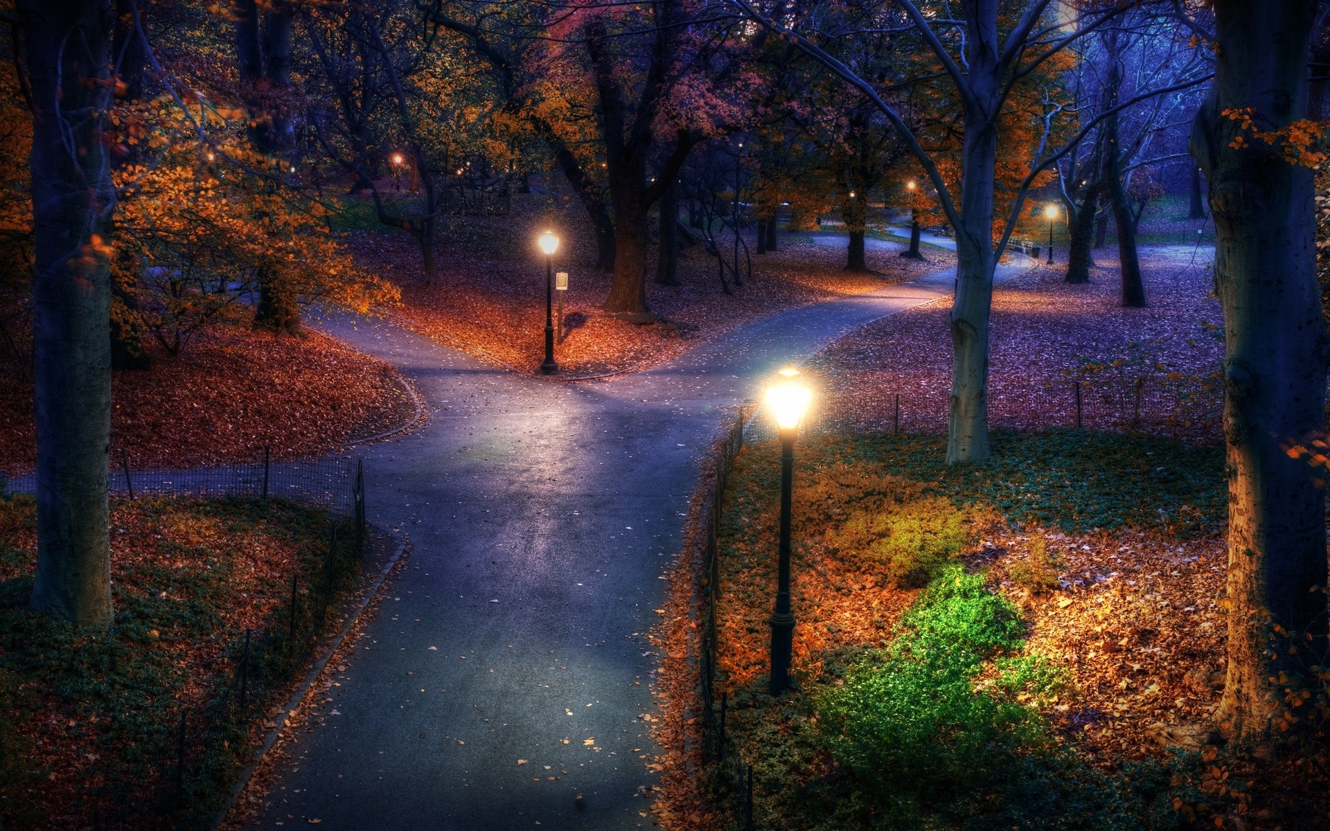 Park path in autumn at night with streetlights HD Wallpaper