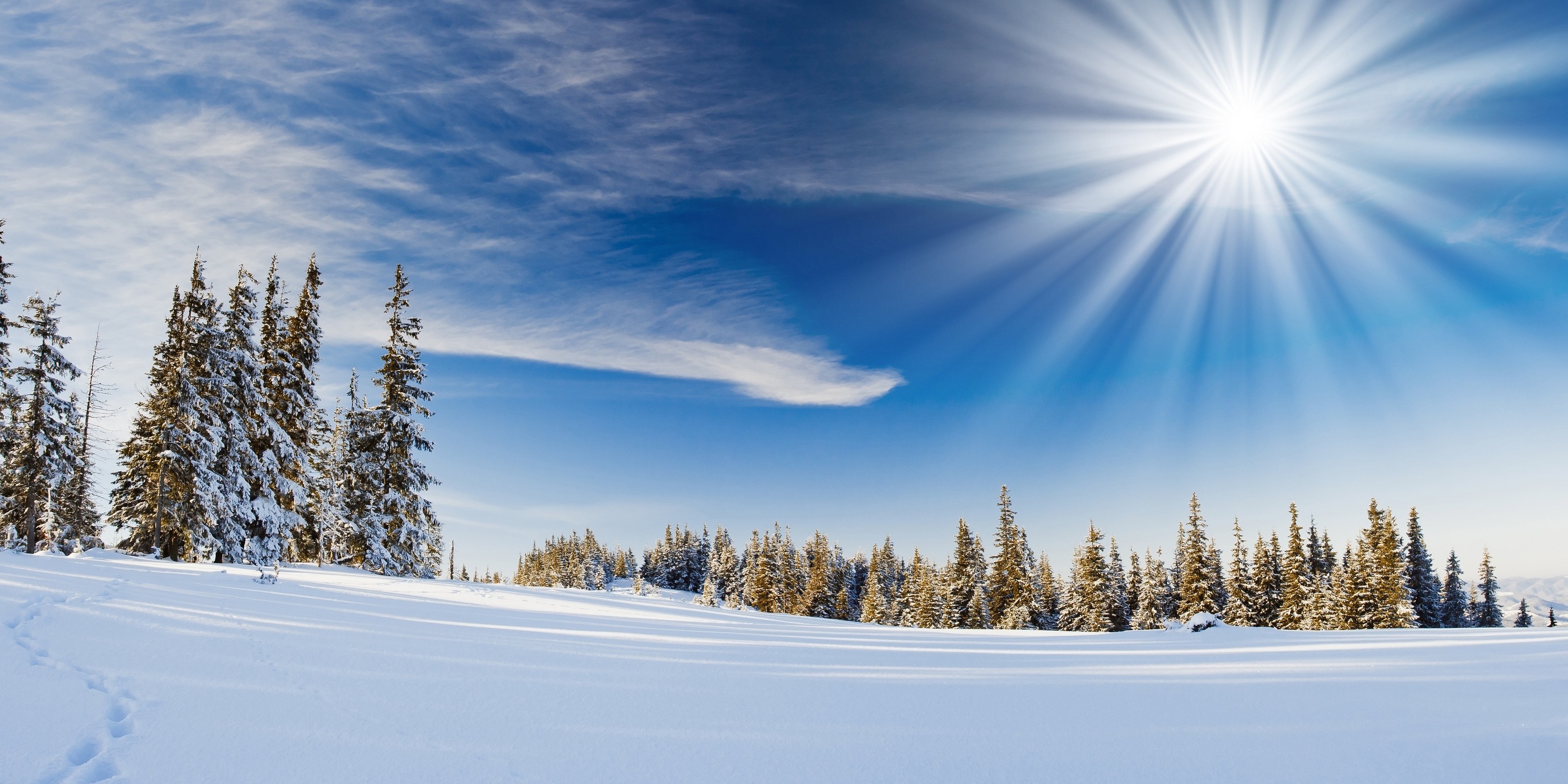 Snowy forest landscape with bright sun and blue sky HD Wallpaper