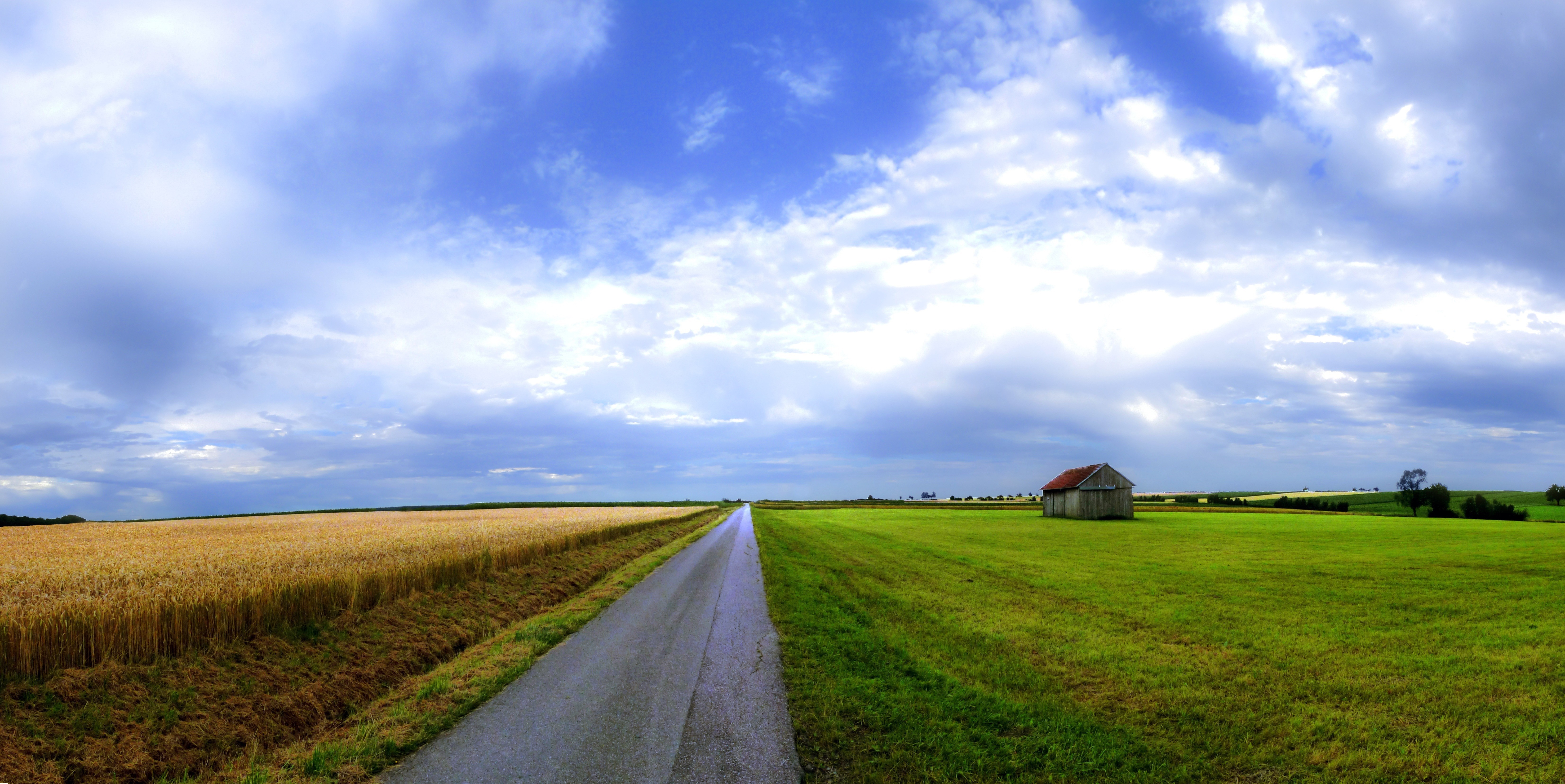Rural landscape with a road, wheat field, and barn HD Wallpaper