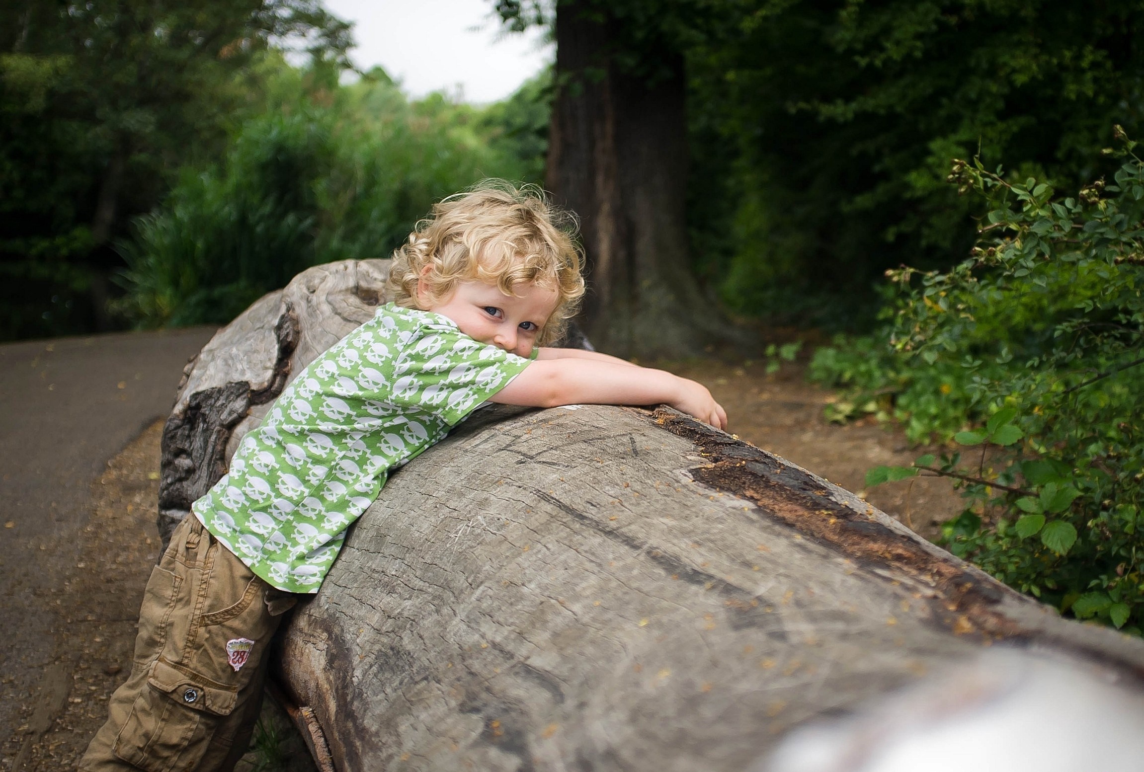 Young boy with curly hair on a log in a forest HD Wallpaper