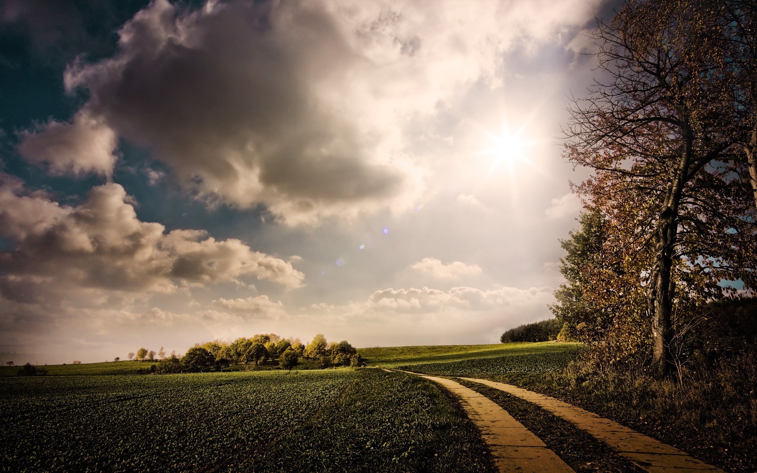 Autumn landscape with a dirt road and sunlit clouds HD Wallpaper