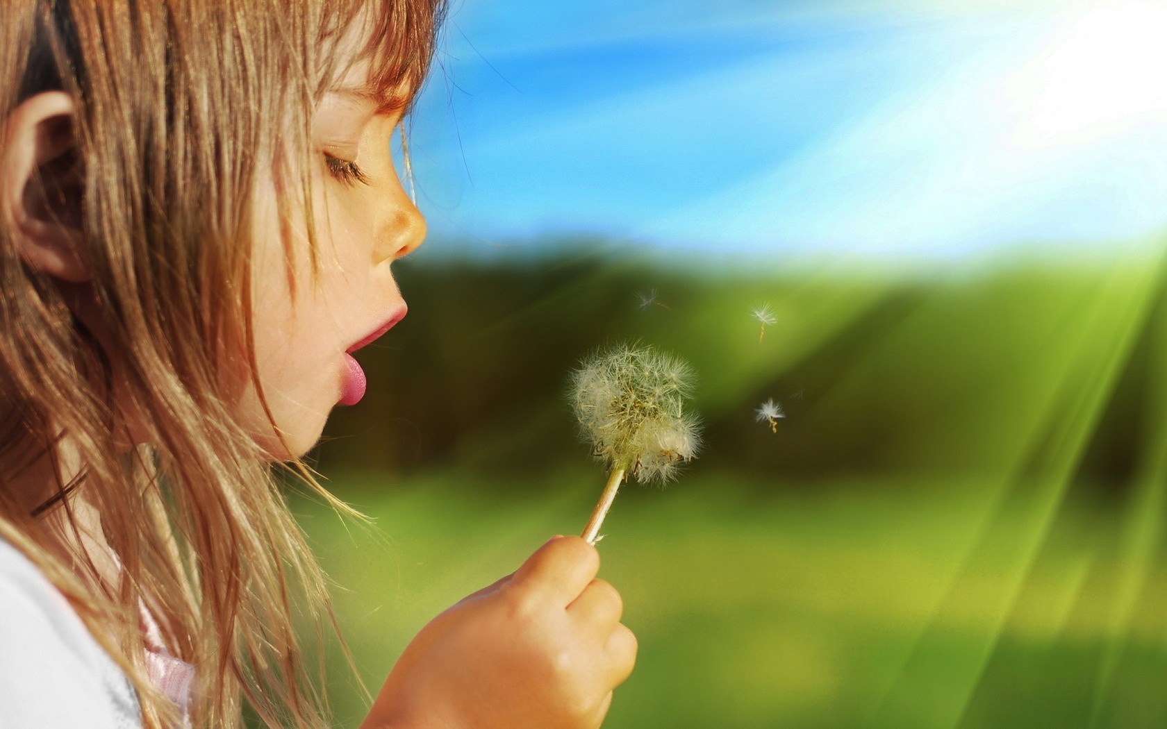 Girl blowing dandelion seeds in sunlight HD Wallpaper