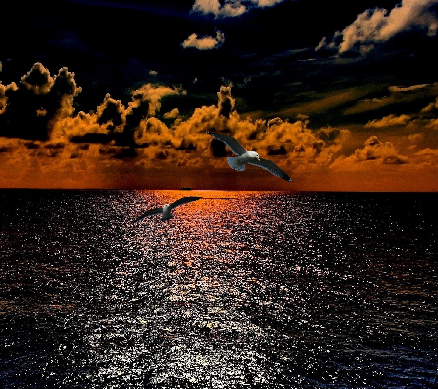 Seagulls flying over the ocean at sunset HD Wallpaper