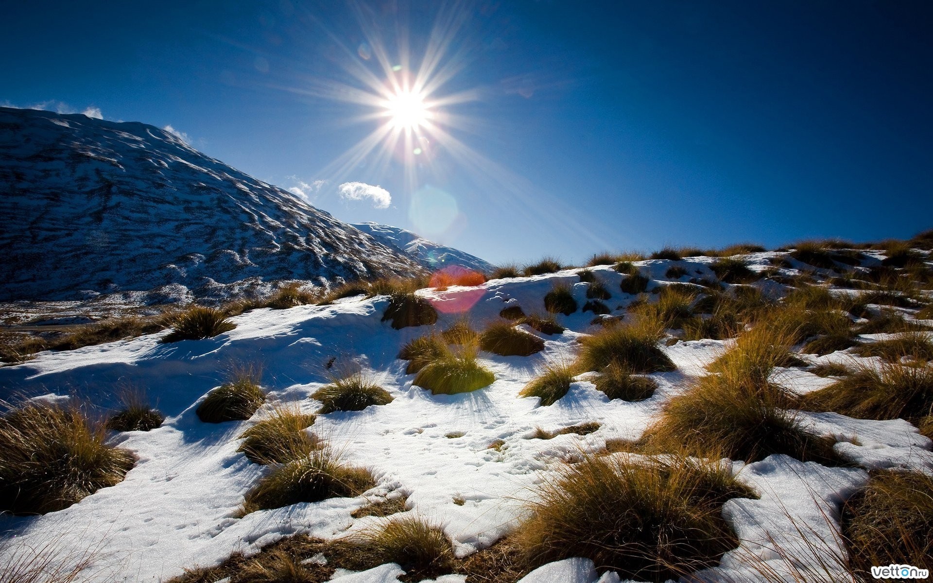 Sunlight over snowy mountain landscape with dry grass HD Wallpaper