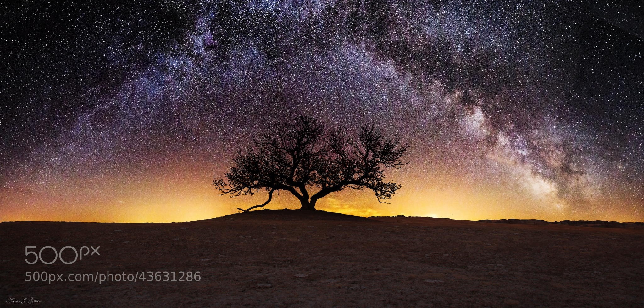 Silhouette of a lone tree under the Milky Way HD Wallpaper