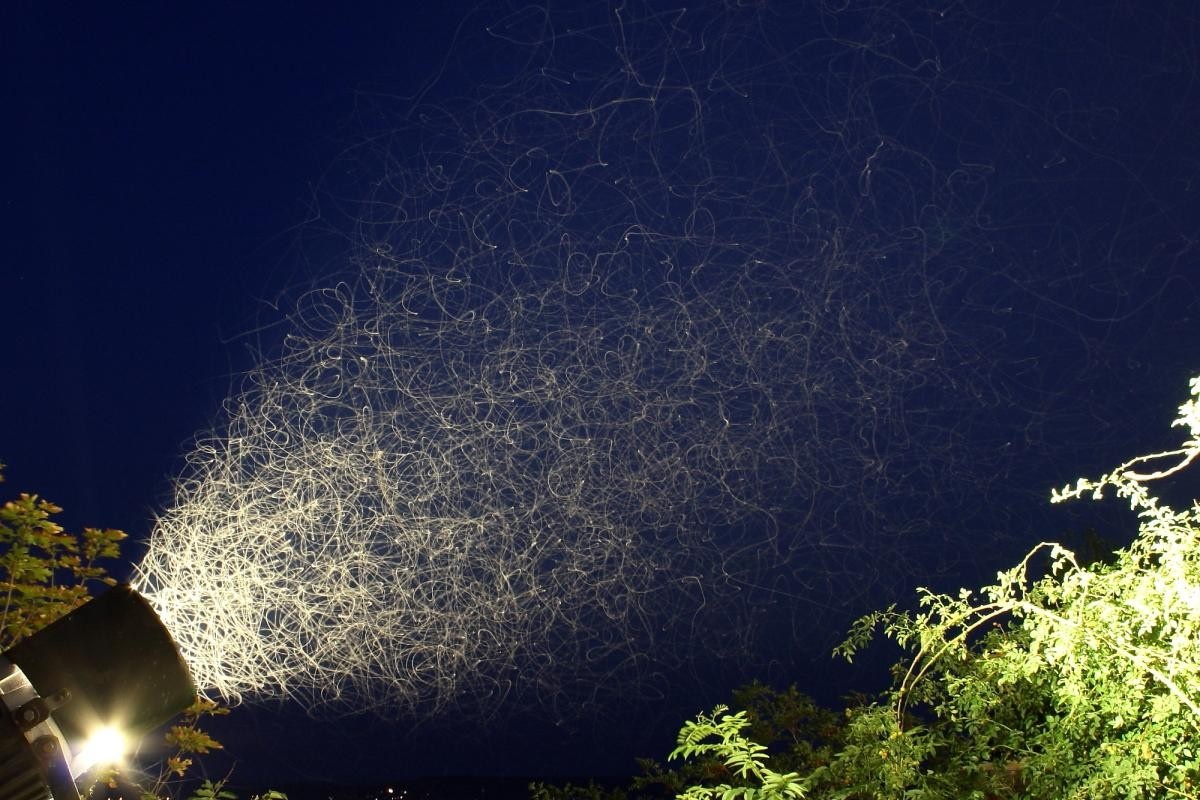 Insects swarm around a light at night HD Wallpaper