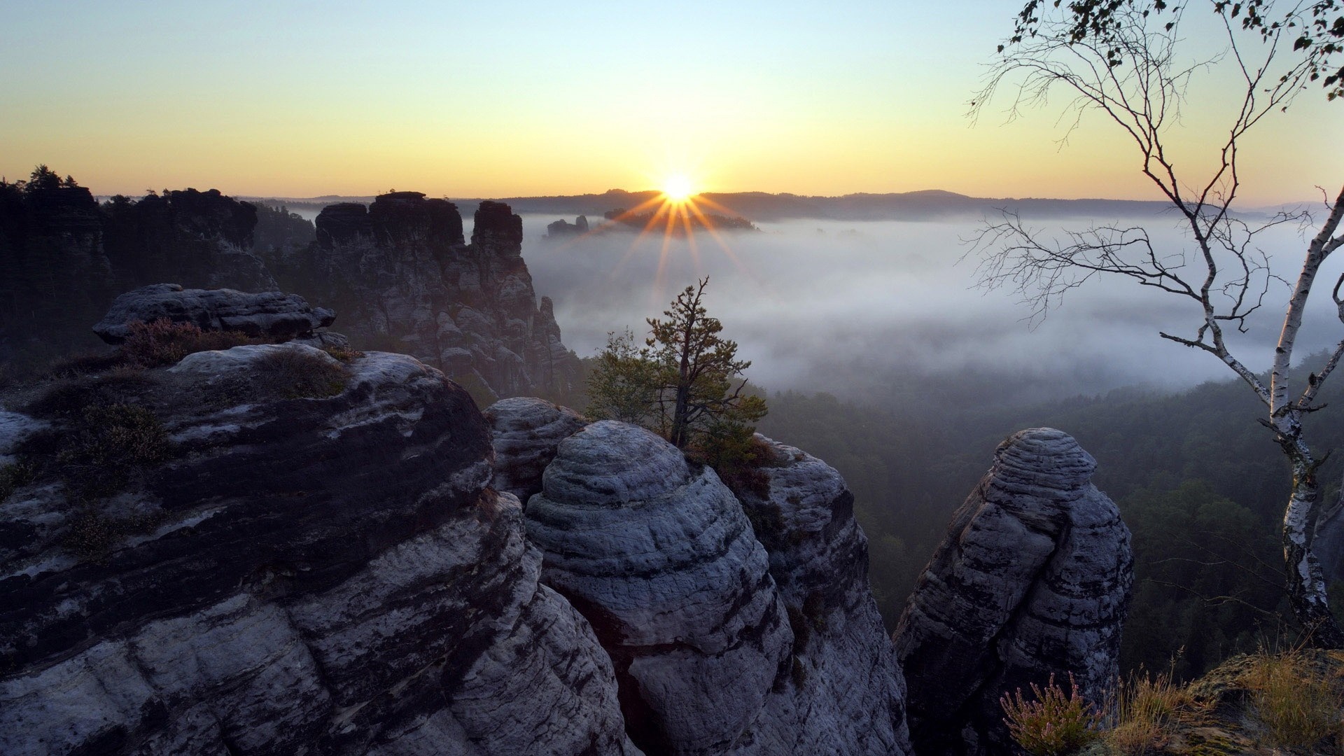 Sunrise over misty rock formations and forest HD Wallpaper