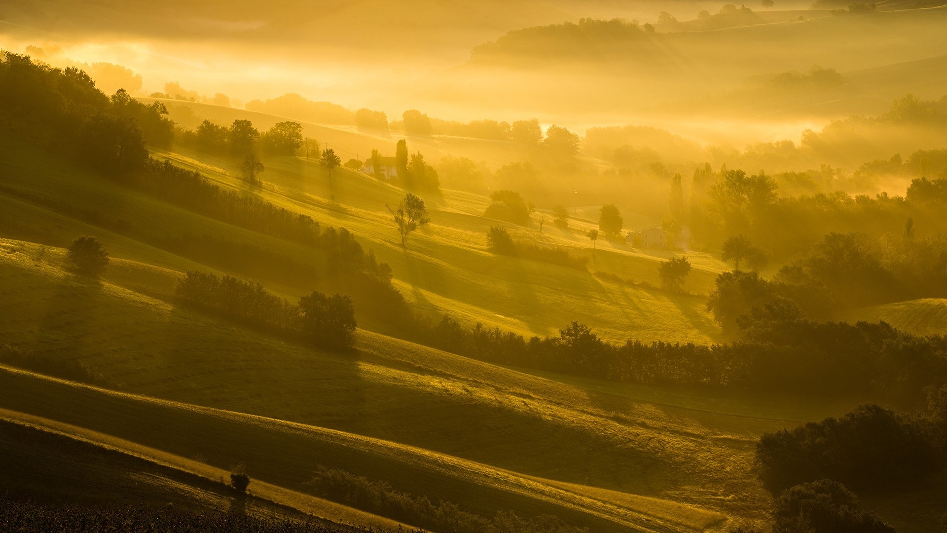 Misty hills bathed in golden sunrise light HD Wallpaper