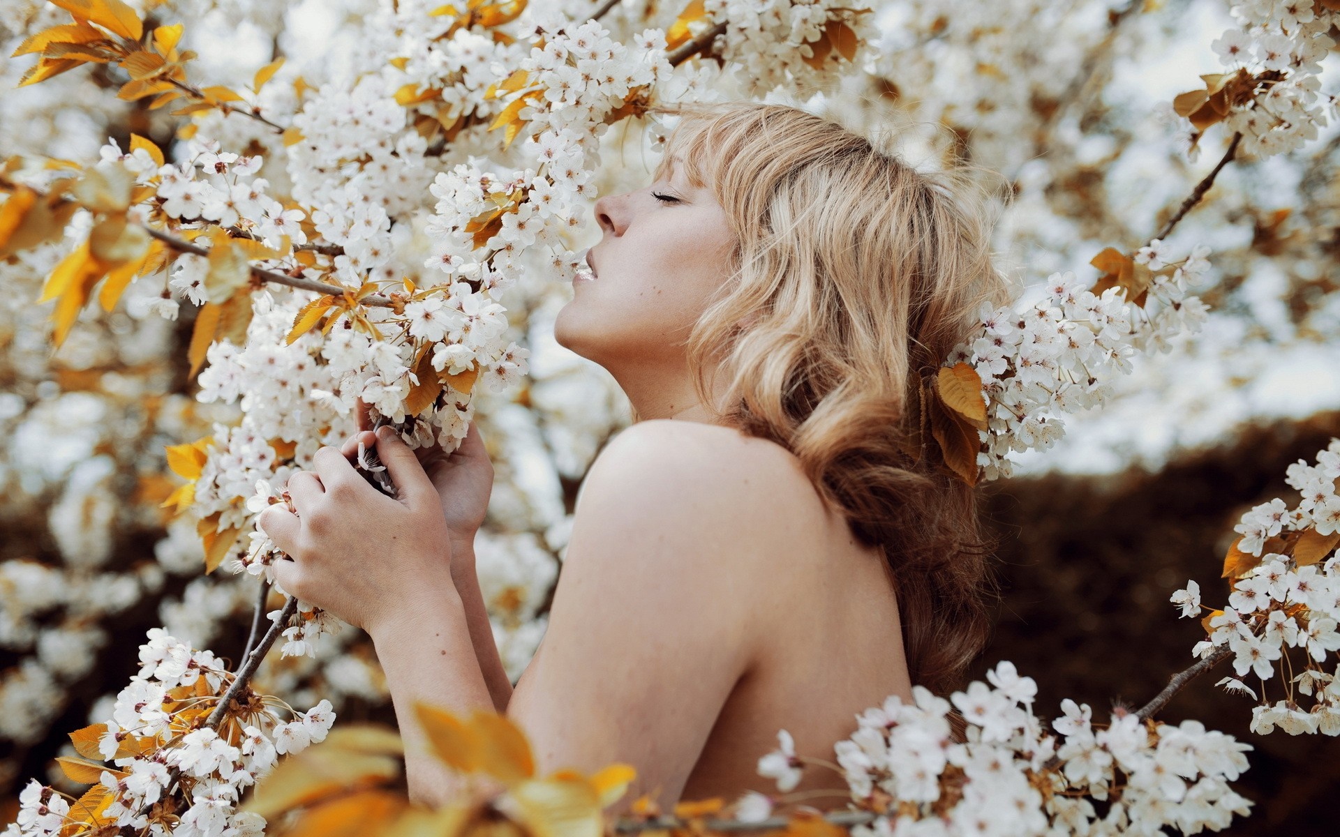 Woman smelling white cherry blossoms in sunlight HD Wallpaper