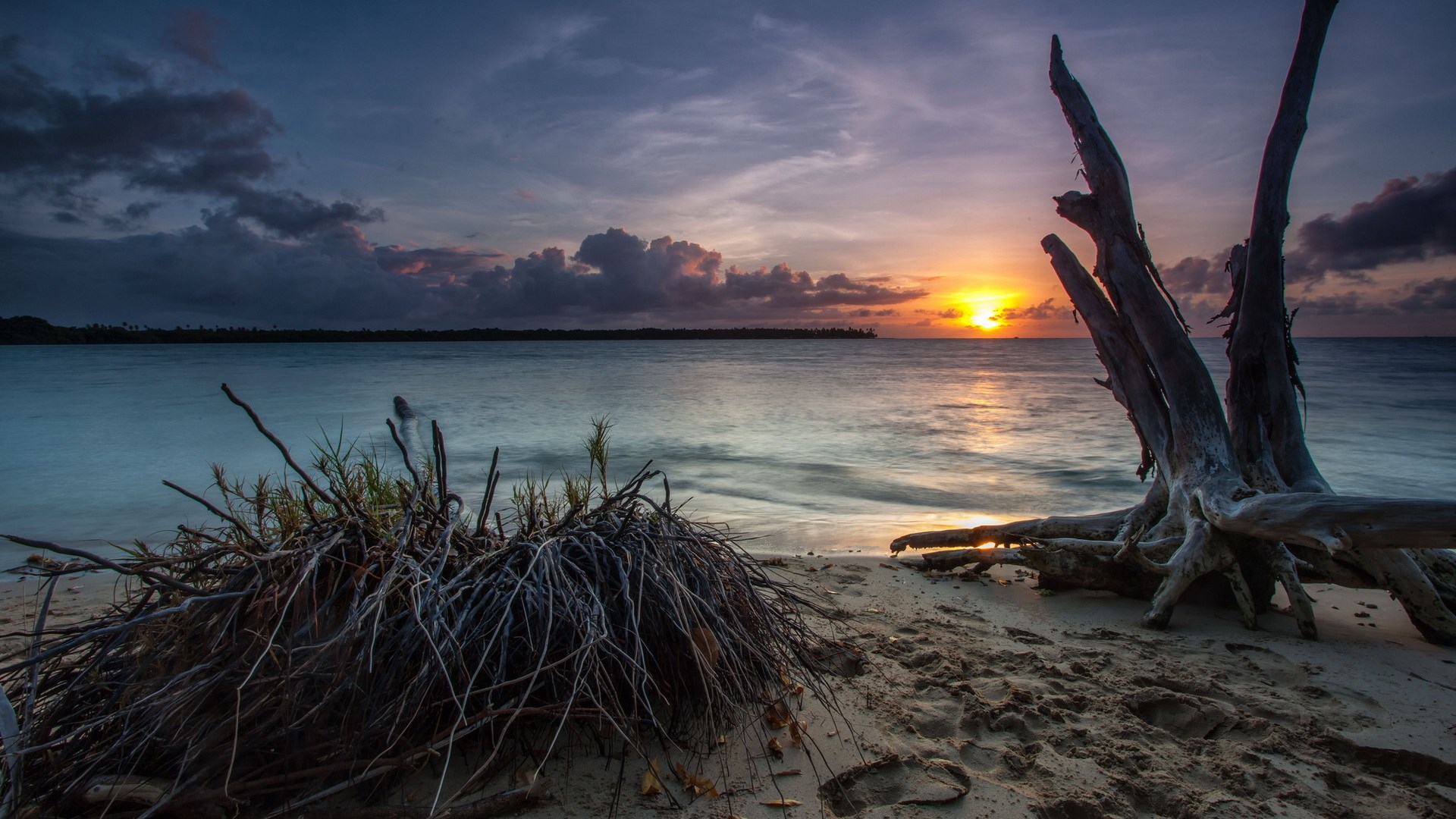 Driftwood on a beach at sunset HD Wallpaper