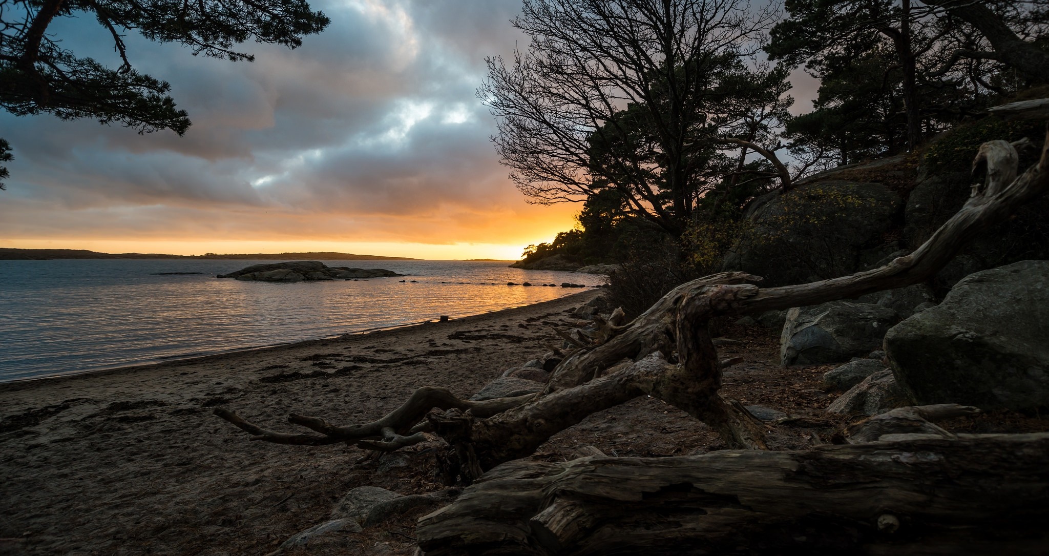Sunset over a rocky coast with driftwood on the beach HD Wallpaper