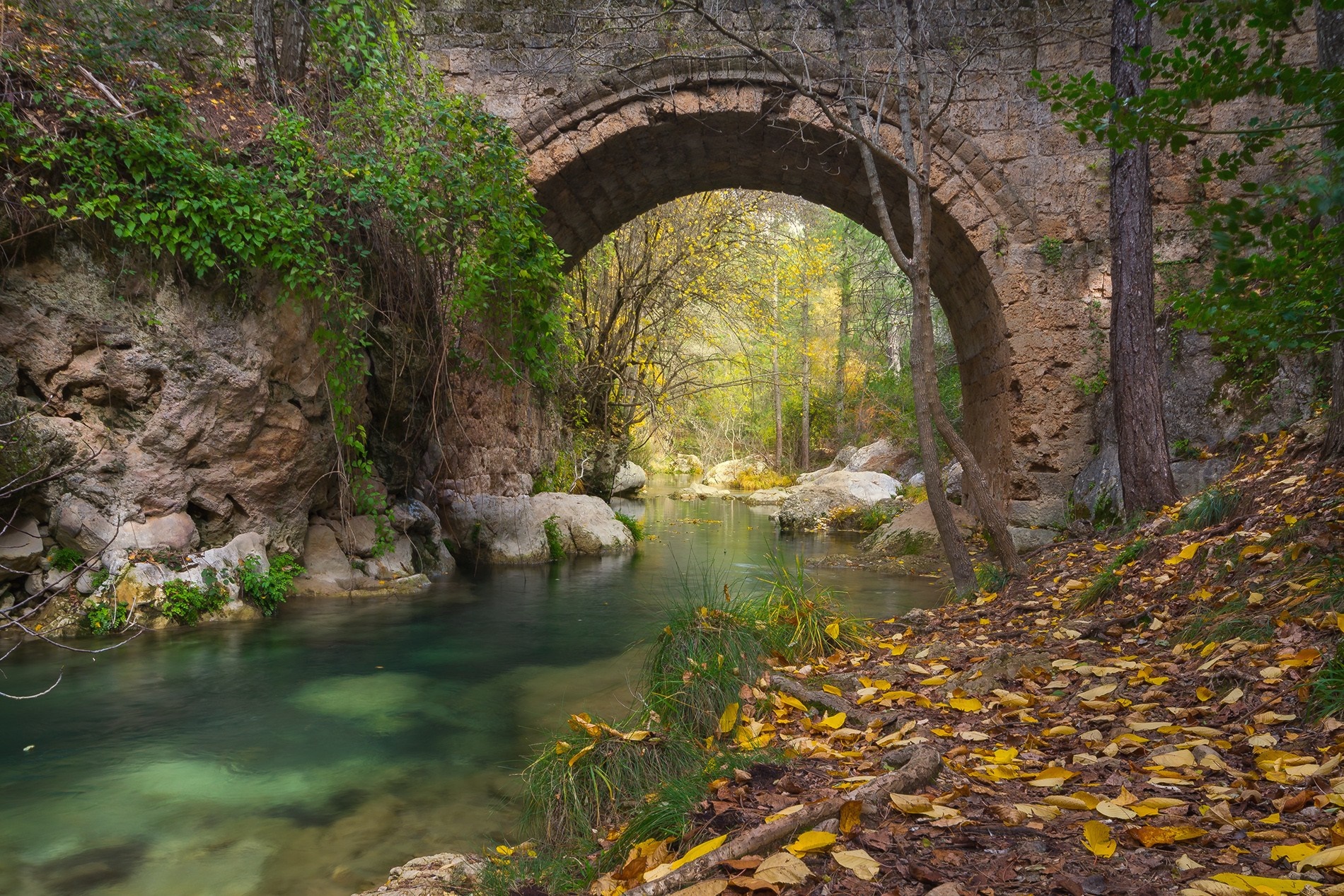 Stone bridge over a clear river in autumn forest HD Wallpaper