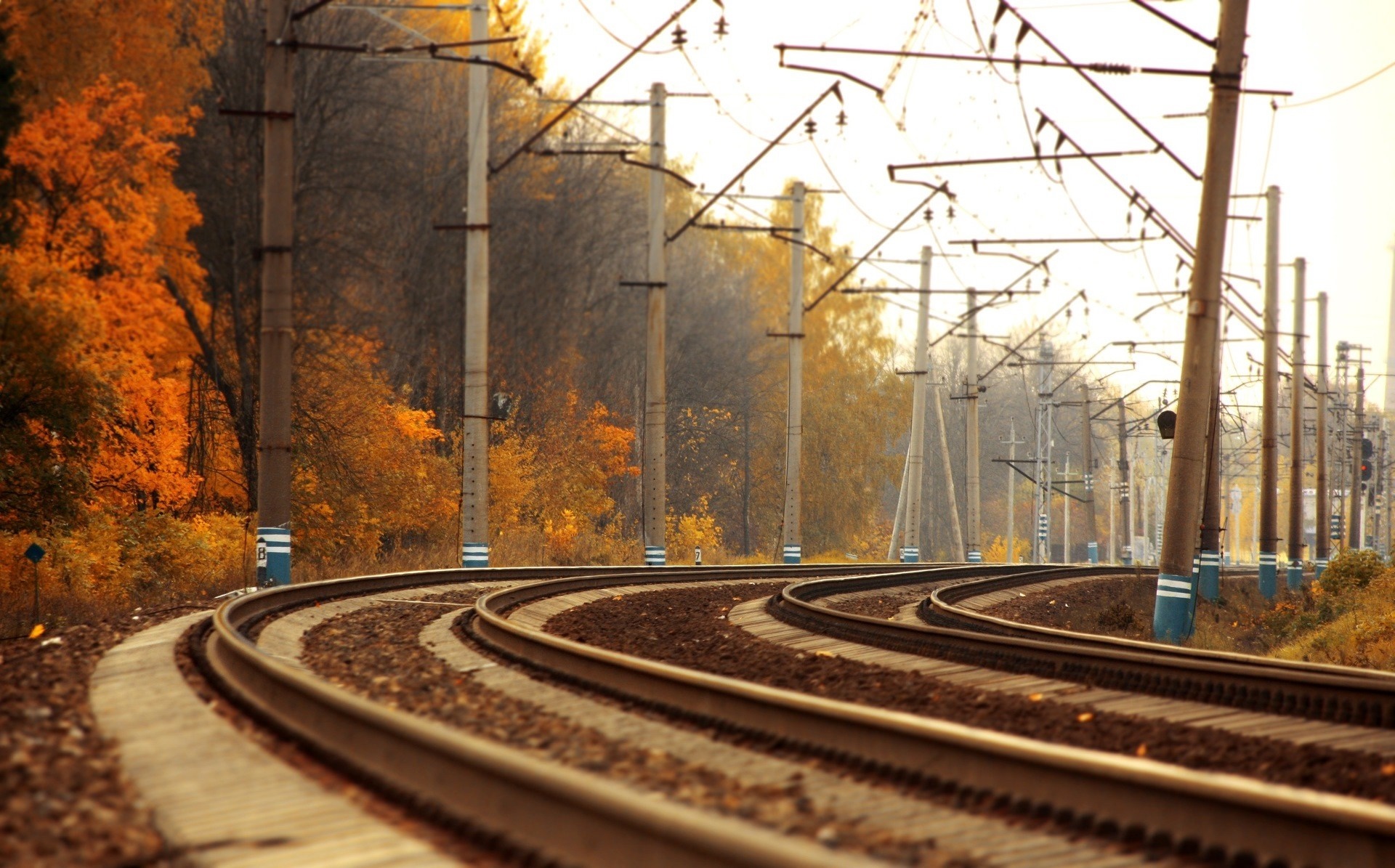 Train tracks curving through autumn trees with overhead wires HD Wallpaper