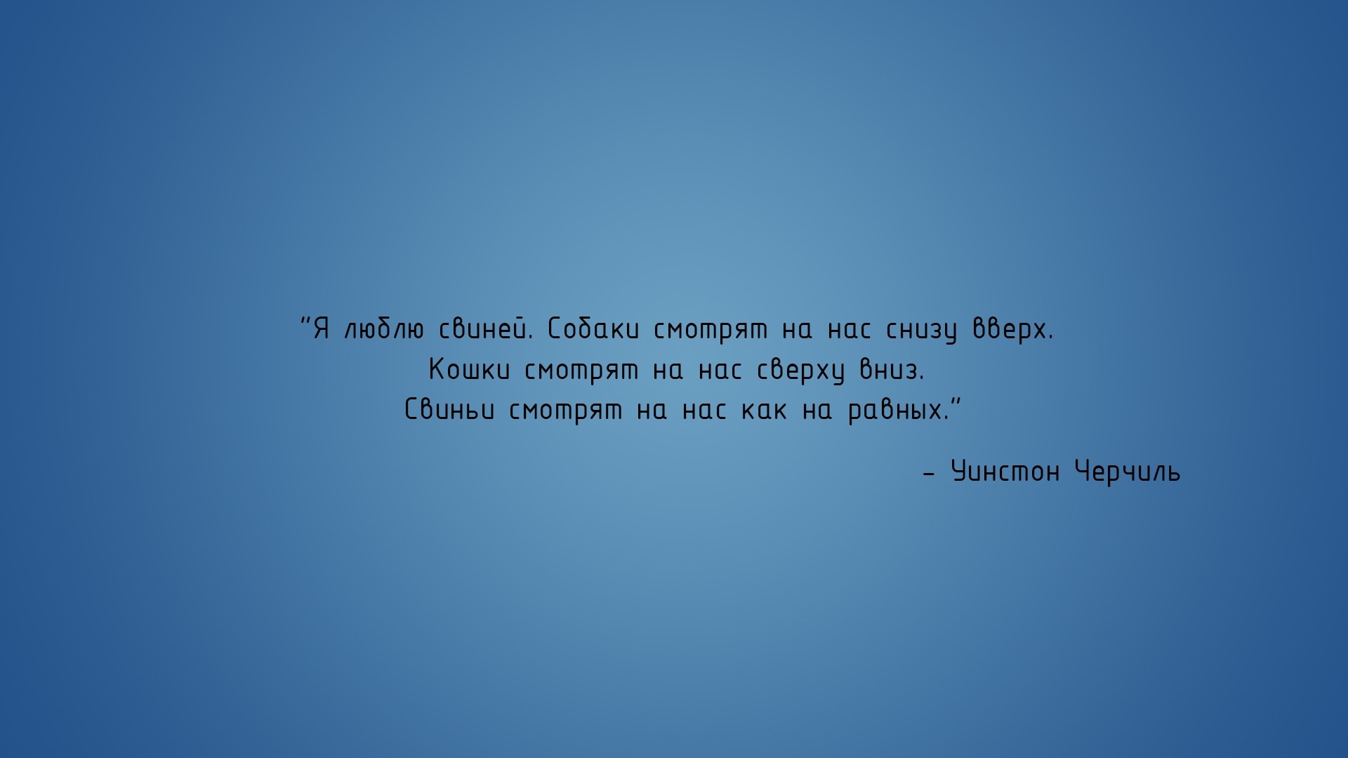 Quote by Winston Churchill about animals HD Wallpaper