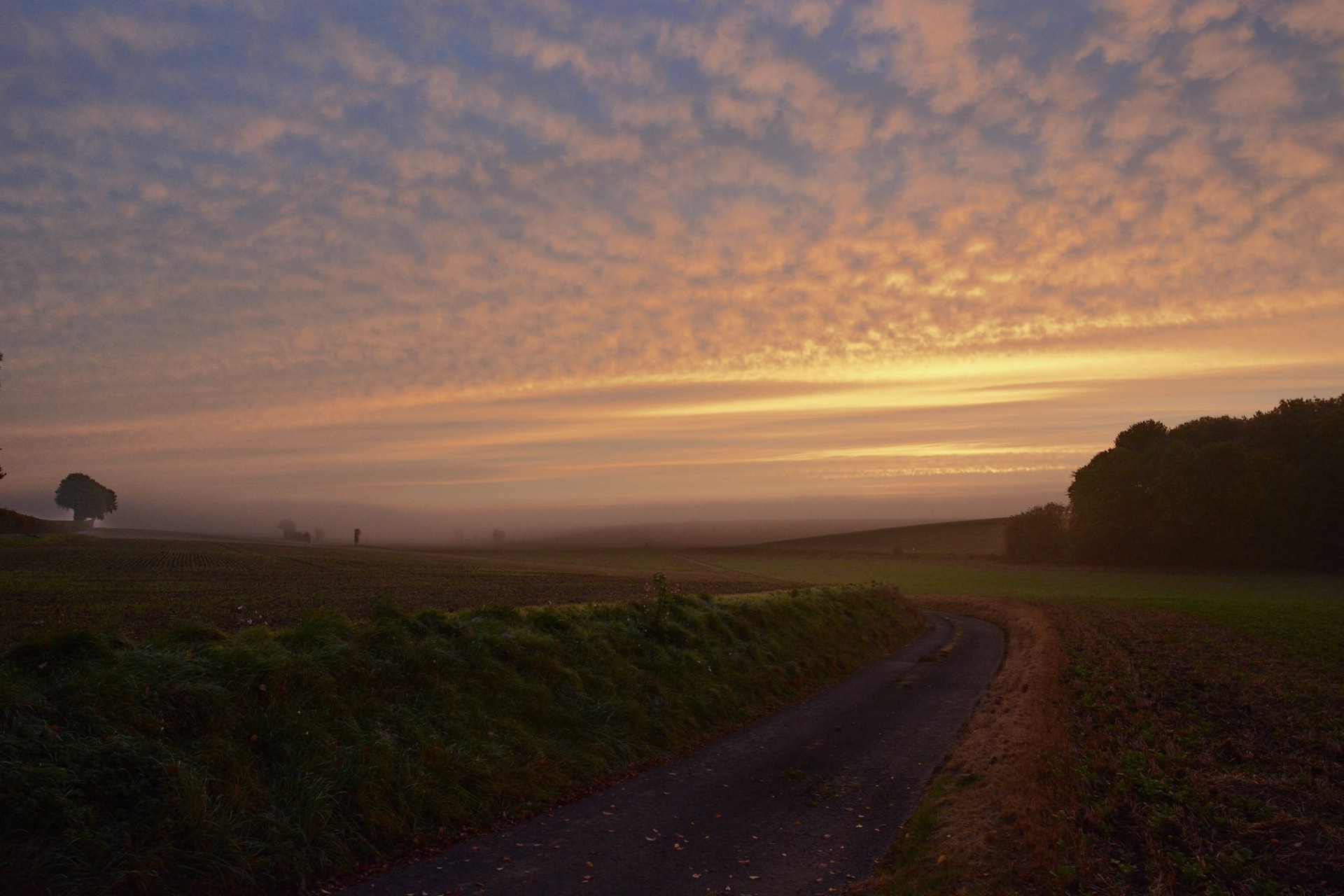 Sunrise over a misty landscape with a winding road HD Wallpaper