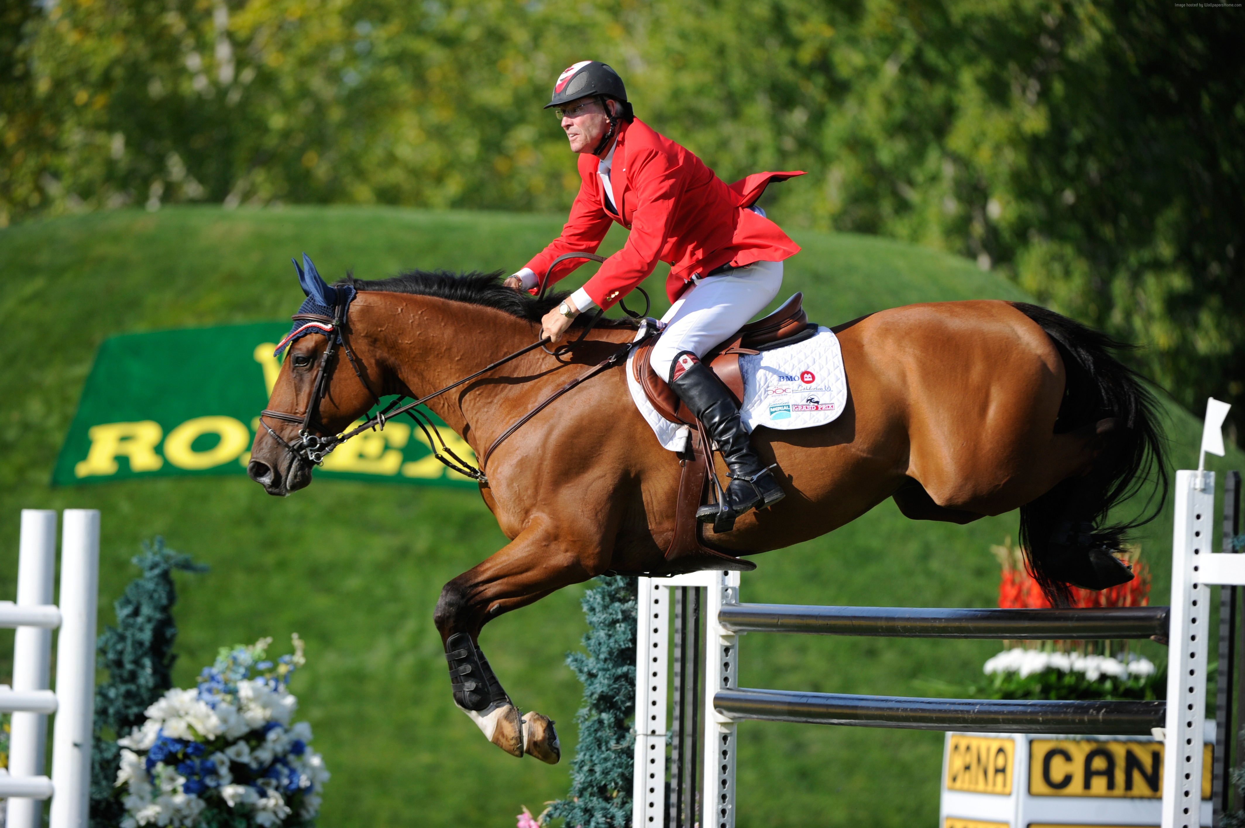 Man riding a horse jumping over a fence HD Wallpaper