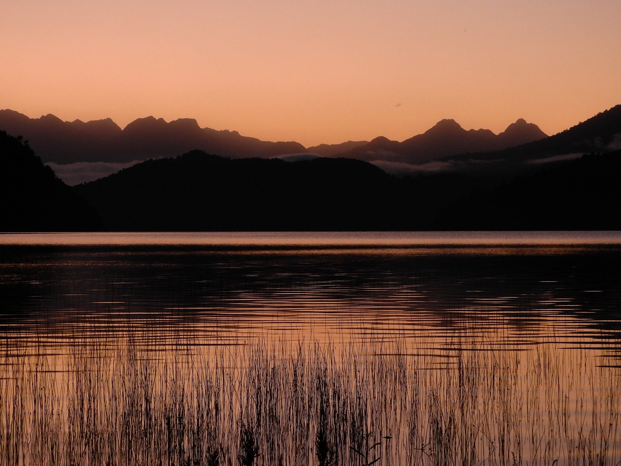 Sunset over a mountain lake with reeds HD Wallpaper