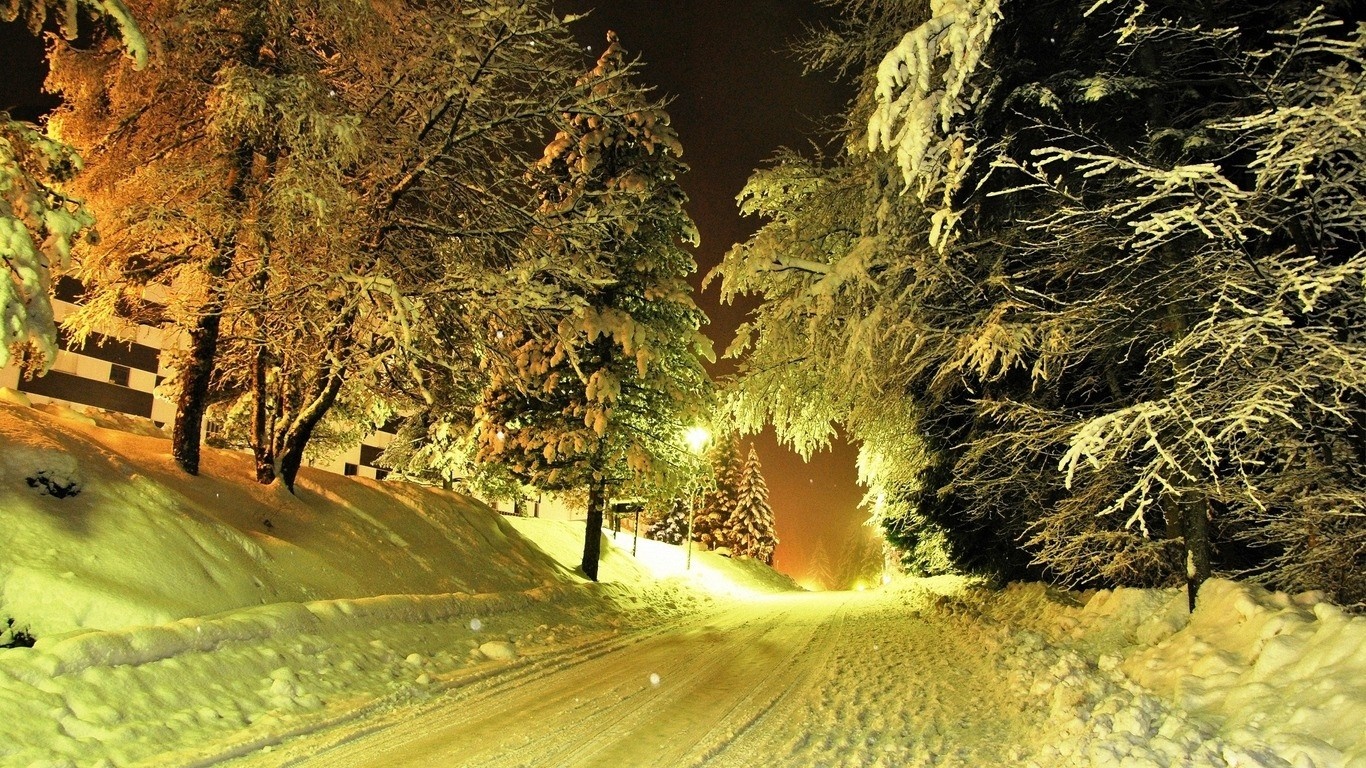 Snowy road through a forest at night HD Wallpaper