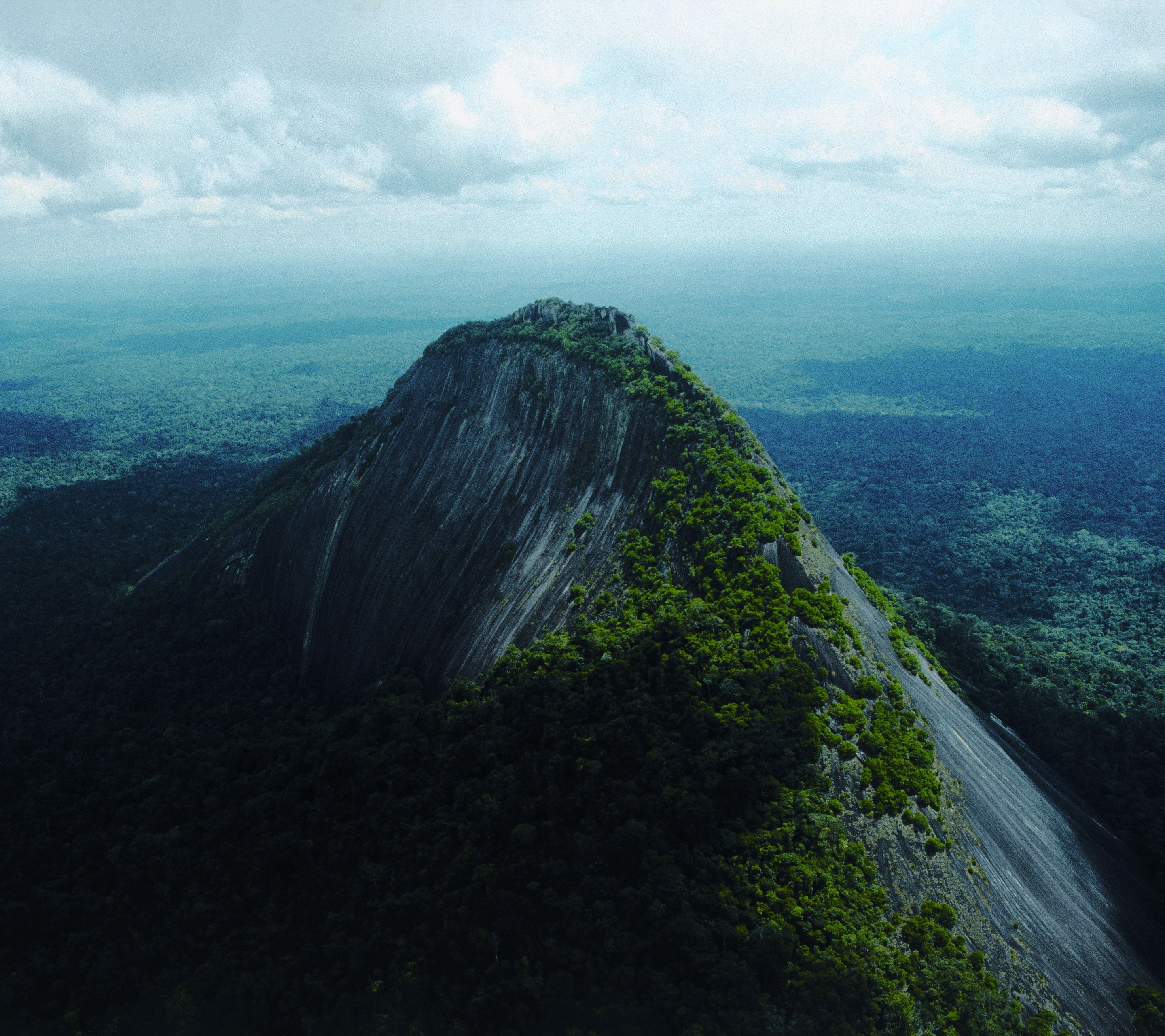 Aerial view of a large, rocky mountain covered in green vegetation, surrounded by a dense forest. HD Wallpaper