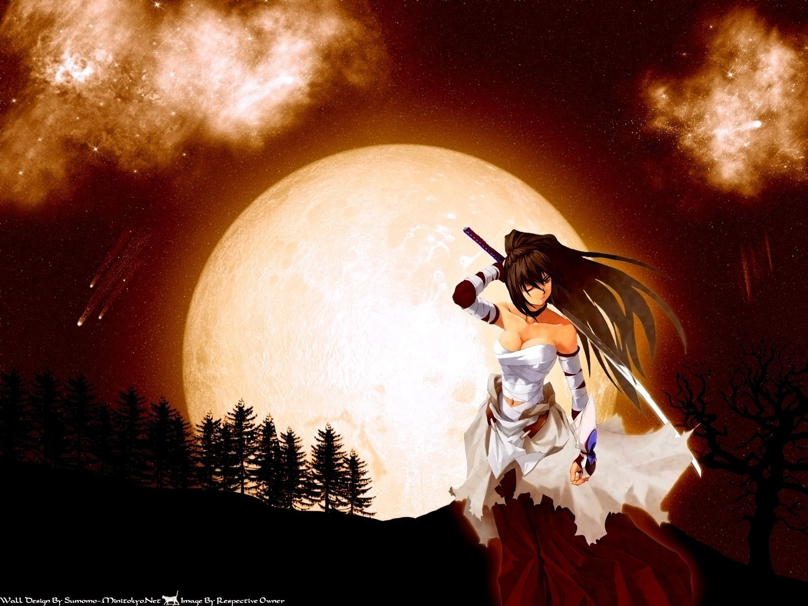 Anime girl with sword under the moon HD Wallpaper