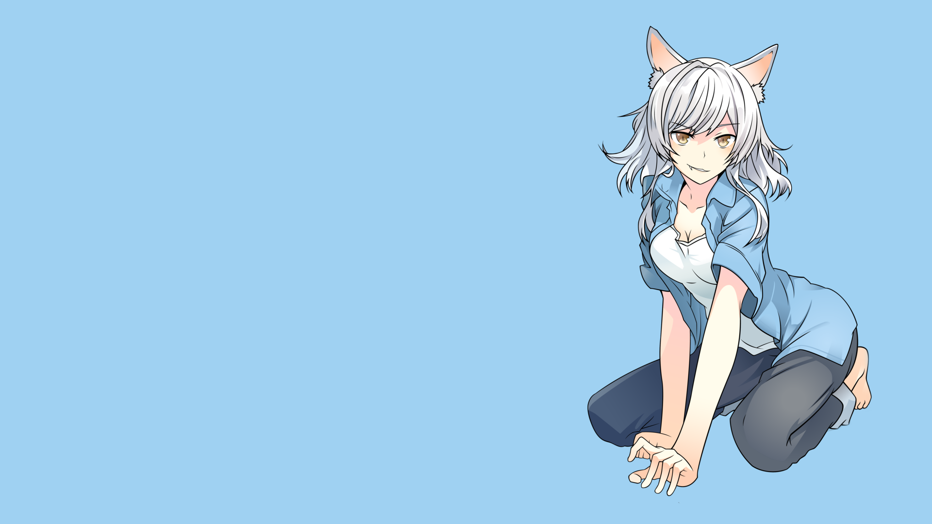 Hanekawa Tsubasa from Monogatari Series HD Wallpaper