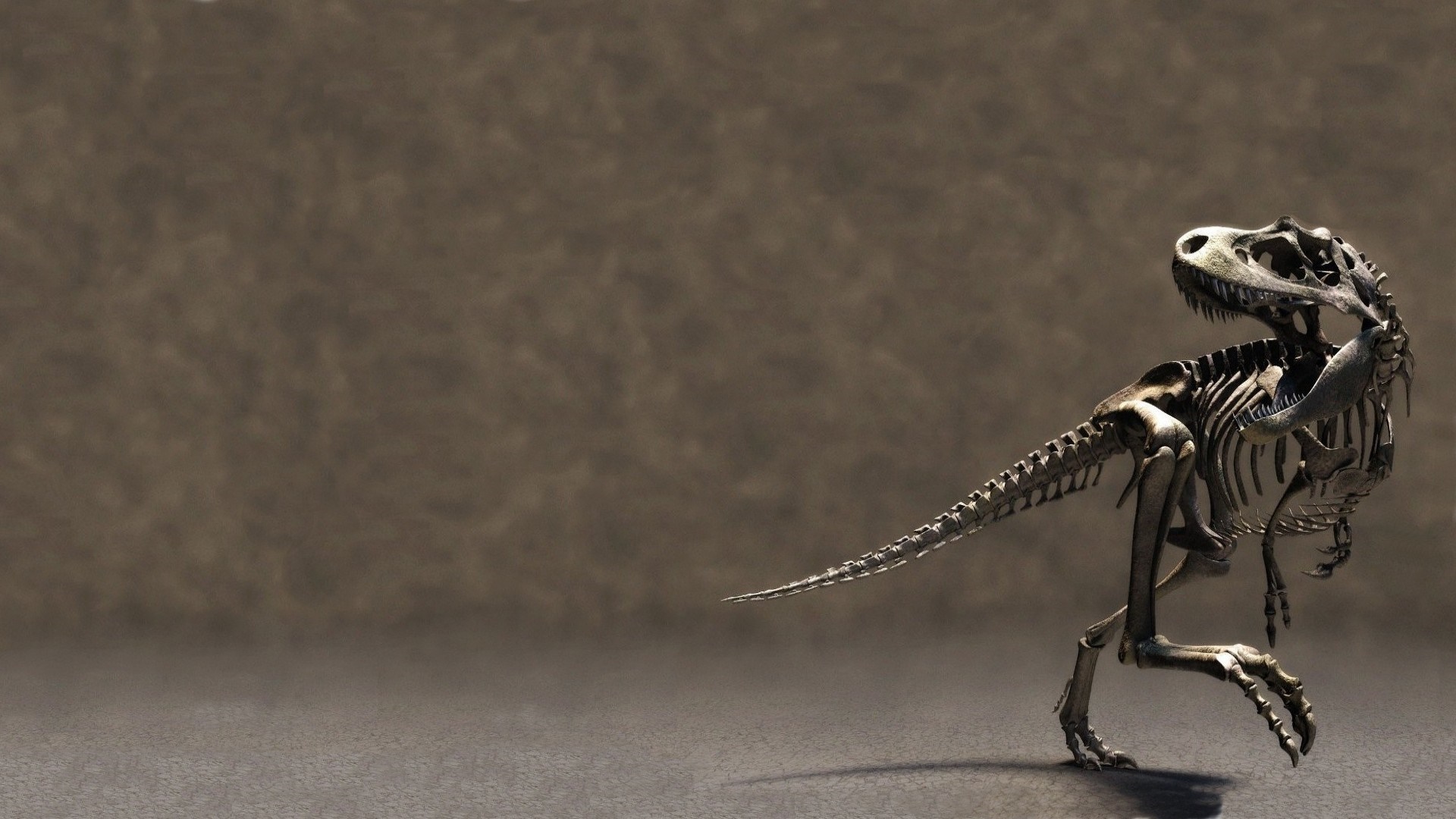 Dinosaur skeleton in a museum display HD Wallpaper