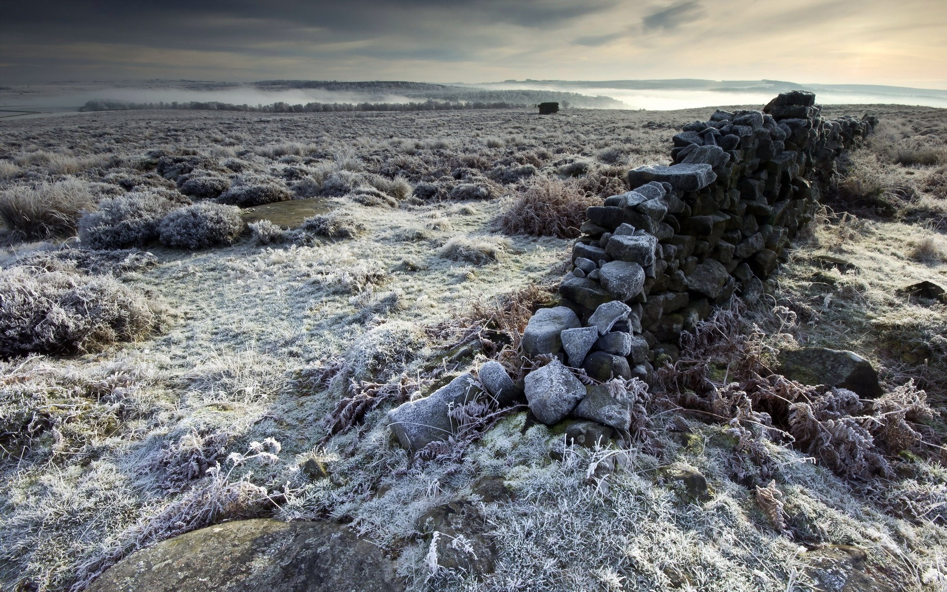 Frosty moorland landscape with stone wall HD Wallpaper