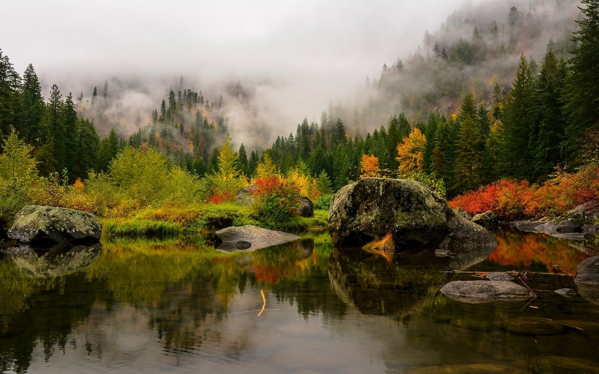 Misty Mountain Forest with Autumn Colors Reflected in Water HD Wallpaper