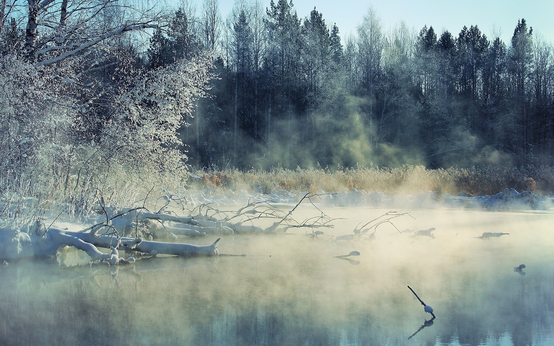 Misty winter morning over a frozen river with snow-covered trees HD Wallpaper