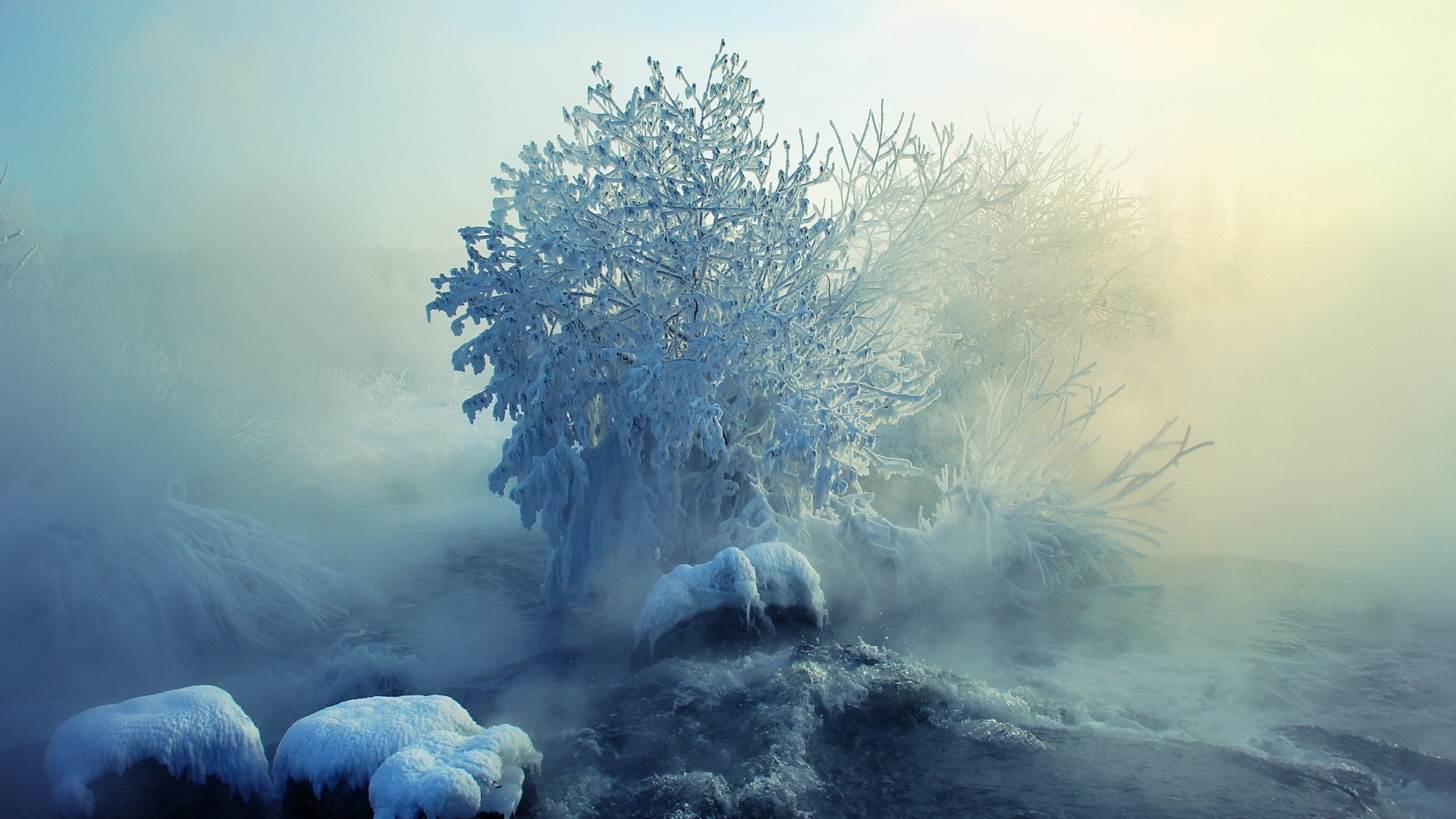 Frozen trees and rocks in misty winter landscape HD Wallpaper