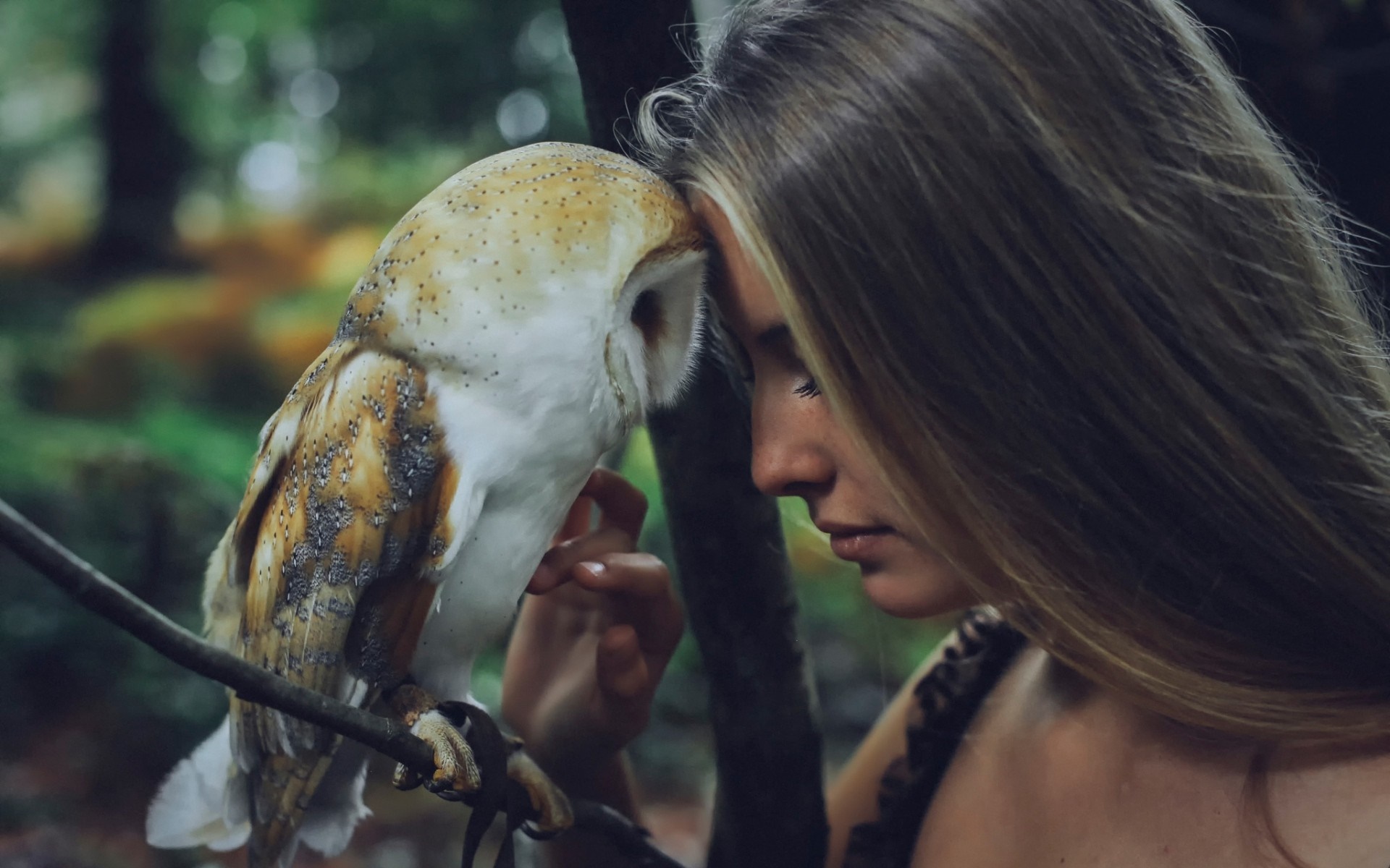 Woman and Barn Owl in Forest HD Wallpaper