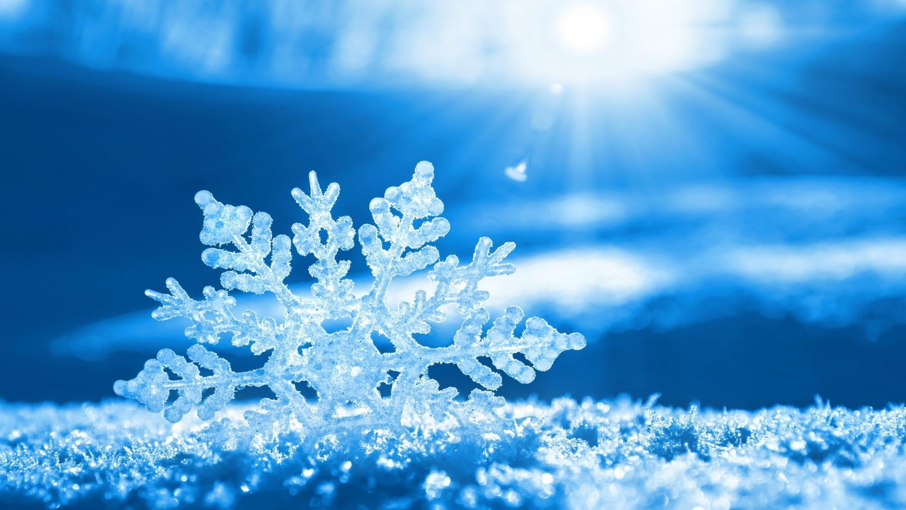 Close-up of a snowflake on snow with sun and blue sky HD Wallpaper