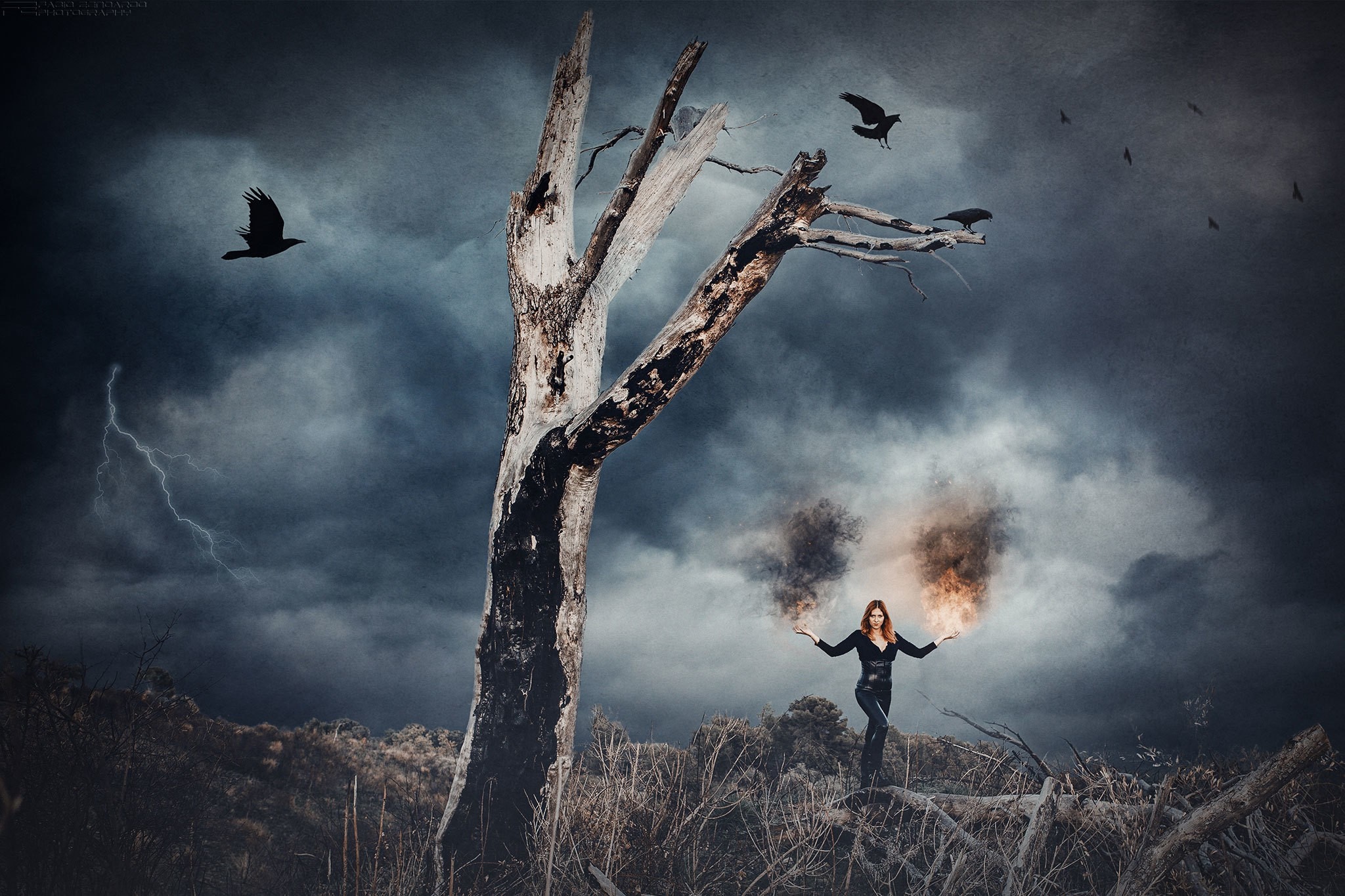 Woman conjuring fire and smoke near a dead tree with crows HD Wallpaper