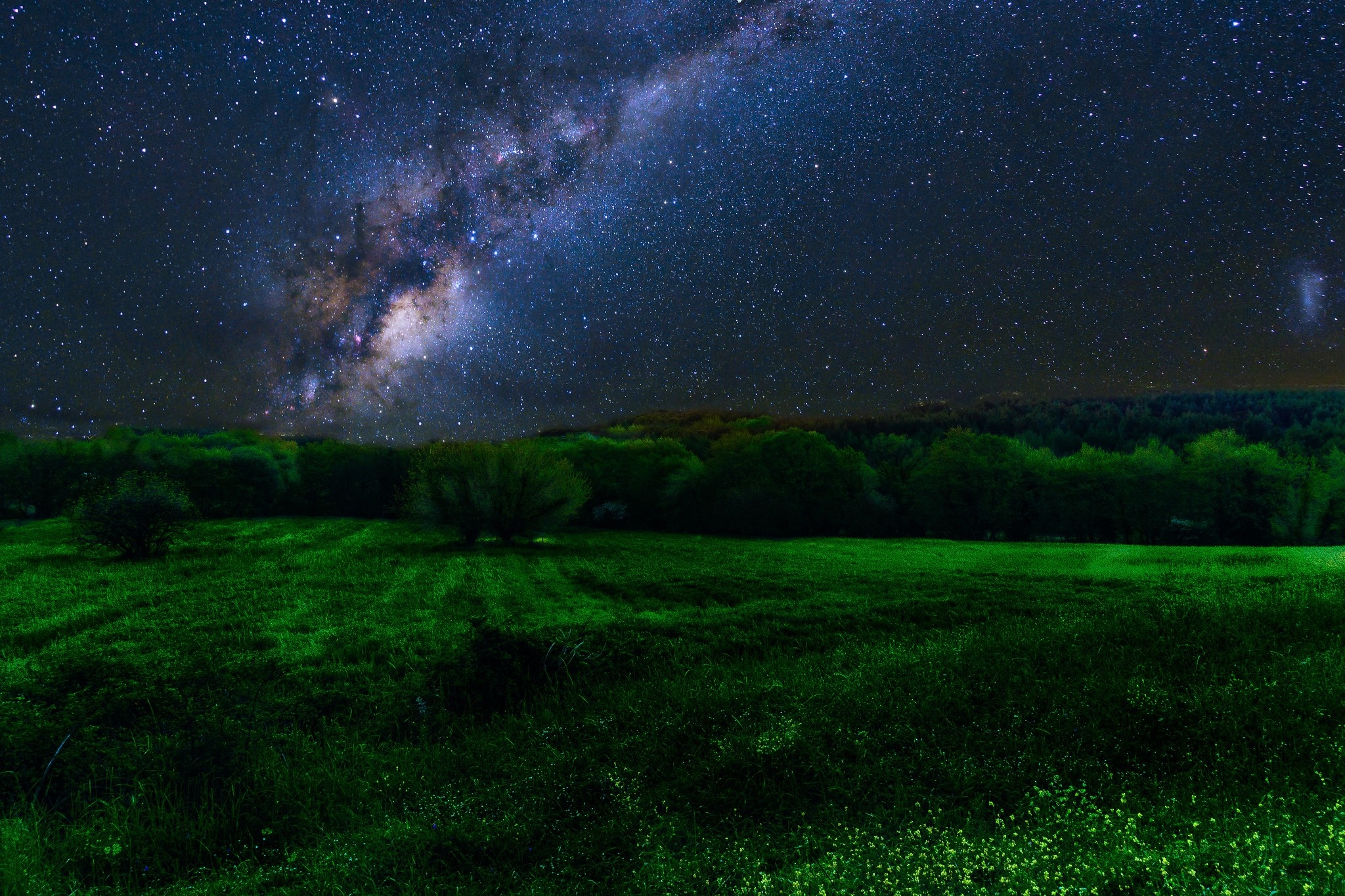 Milky Way galaxy over a green field at night HD Wallpaper