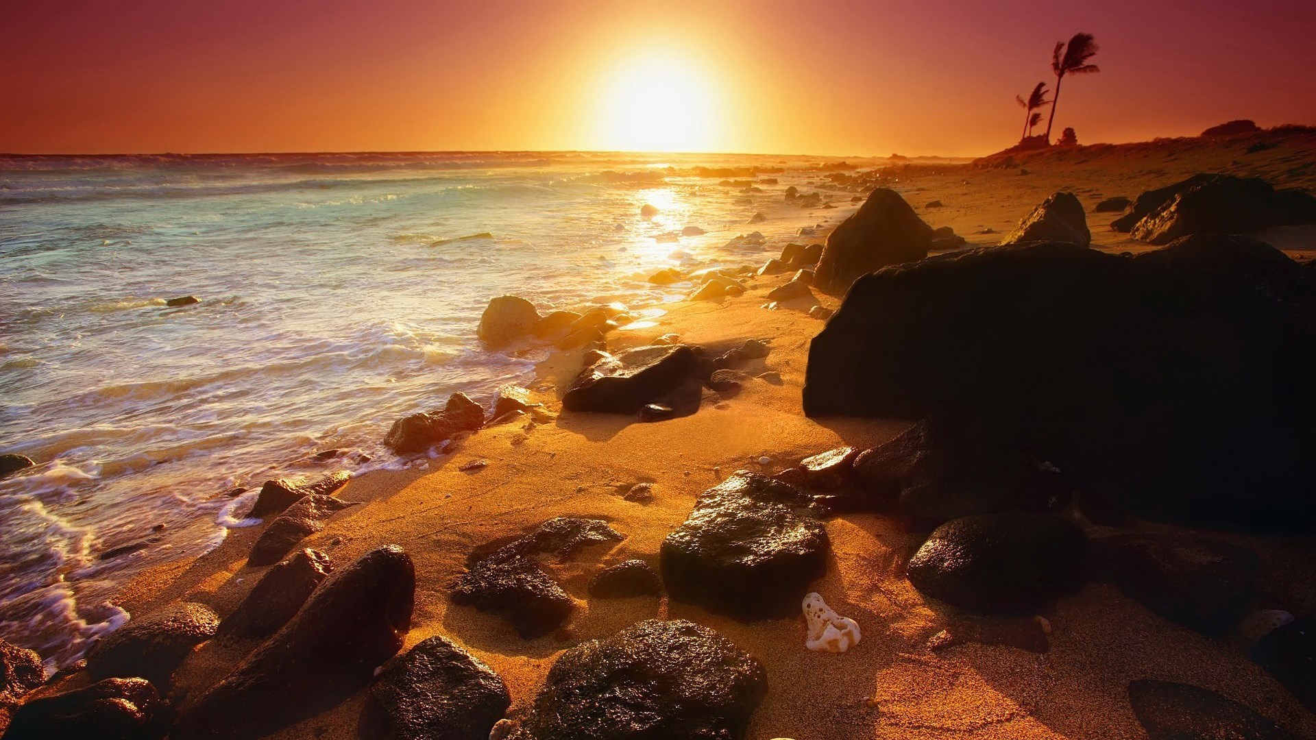 Sunset over a rocky beach with palm trees HD Wallpaper